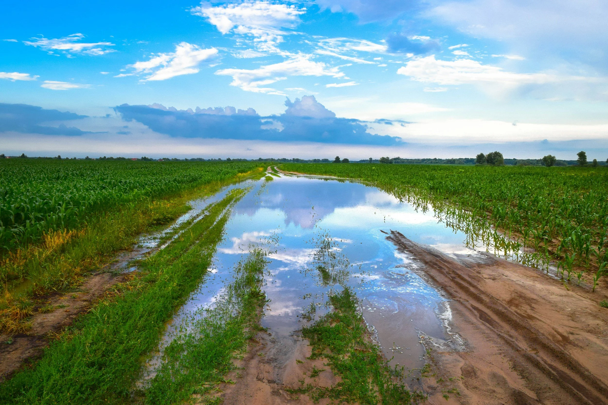 ‘Yes, but how much rain did you keep?’