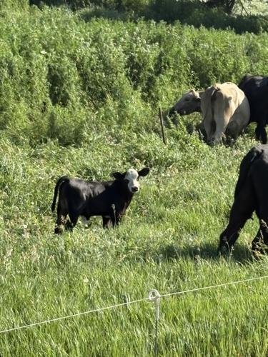 Drought breaks in southeastern Nebraska