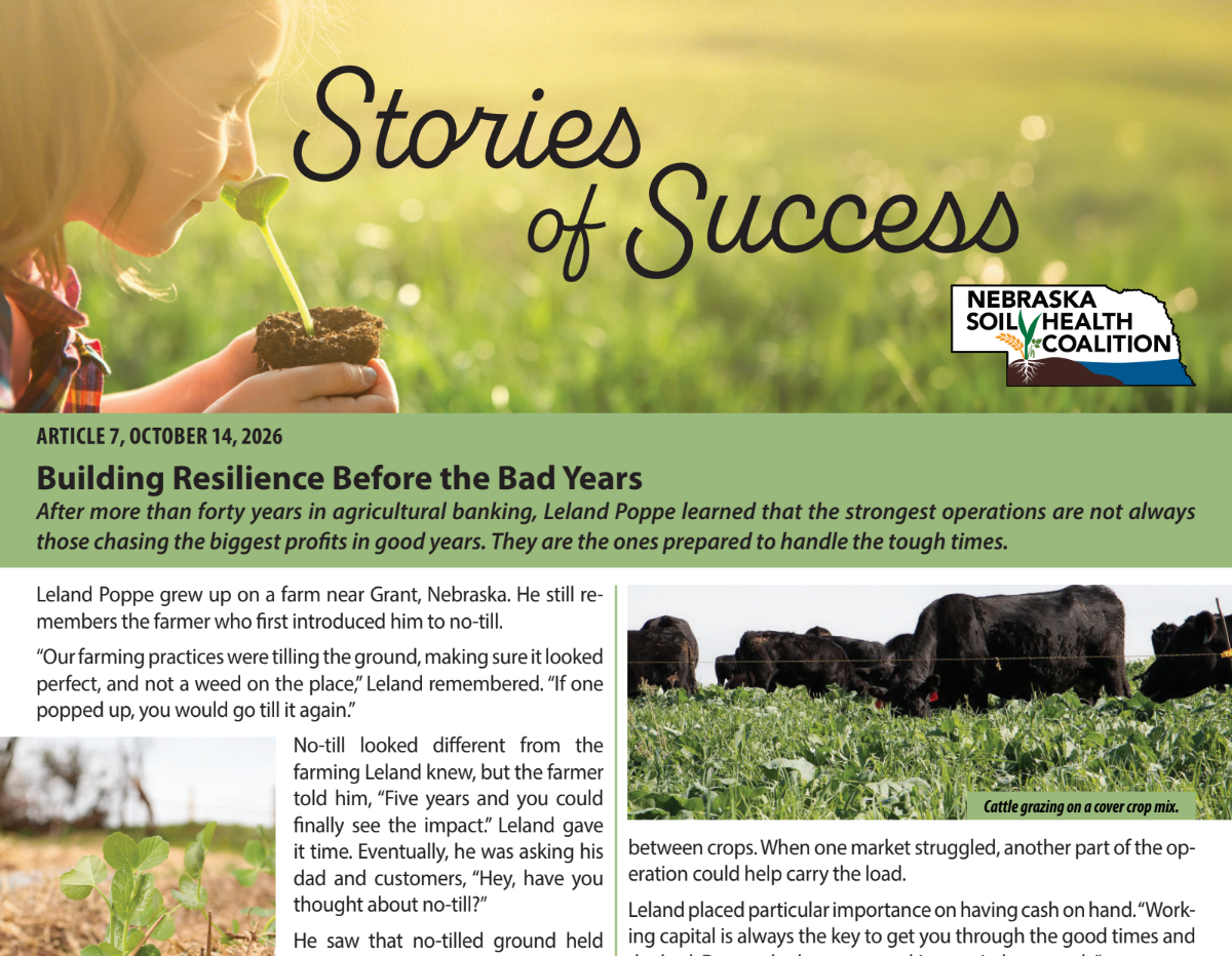 Building Resilience Before the Bad Years