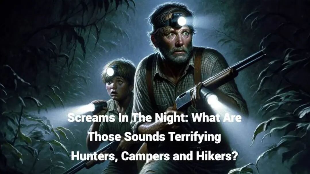 TERRIFYING SCREAMS:WHAT ARE THOSE SOUNDS TERRIFYING HUNTERS,CAMPERS AND HIKERS?

Listen to the podcast at Wildmanofthewoods.com 

#cryptid #bigfootsighting #bigfootisreal #bigfootencounter #Sasquatch #sasquatchencounter