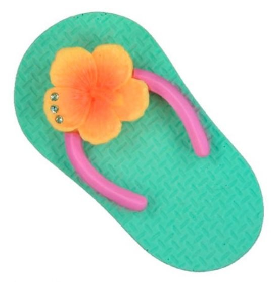 Picture-Slippah-Hibiscus-550x559.jpg