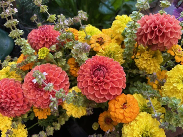 Sunflower Farm Acres photo 20