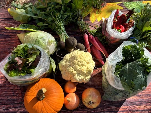 Sunflower Farm Acres photo 10