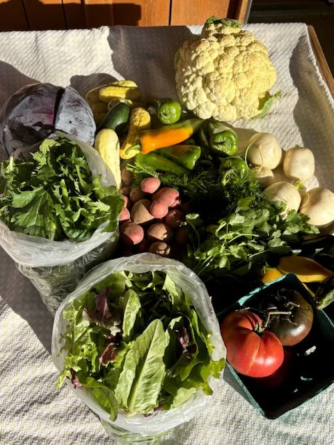 Sunflower Farm Acres photo 13