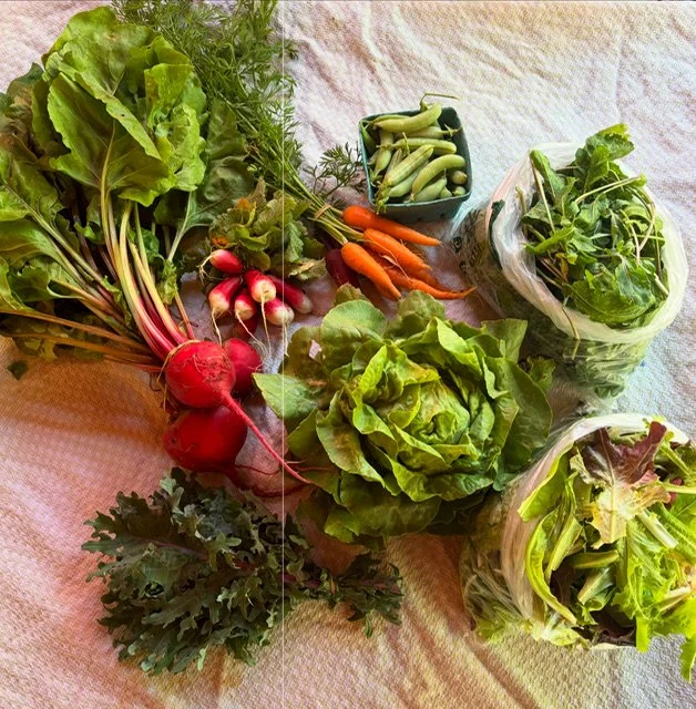 Sunflower Farm Acres photo 18