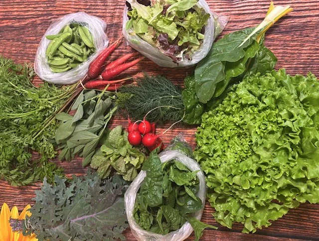 Sunflower Farm Acres photo 12