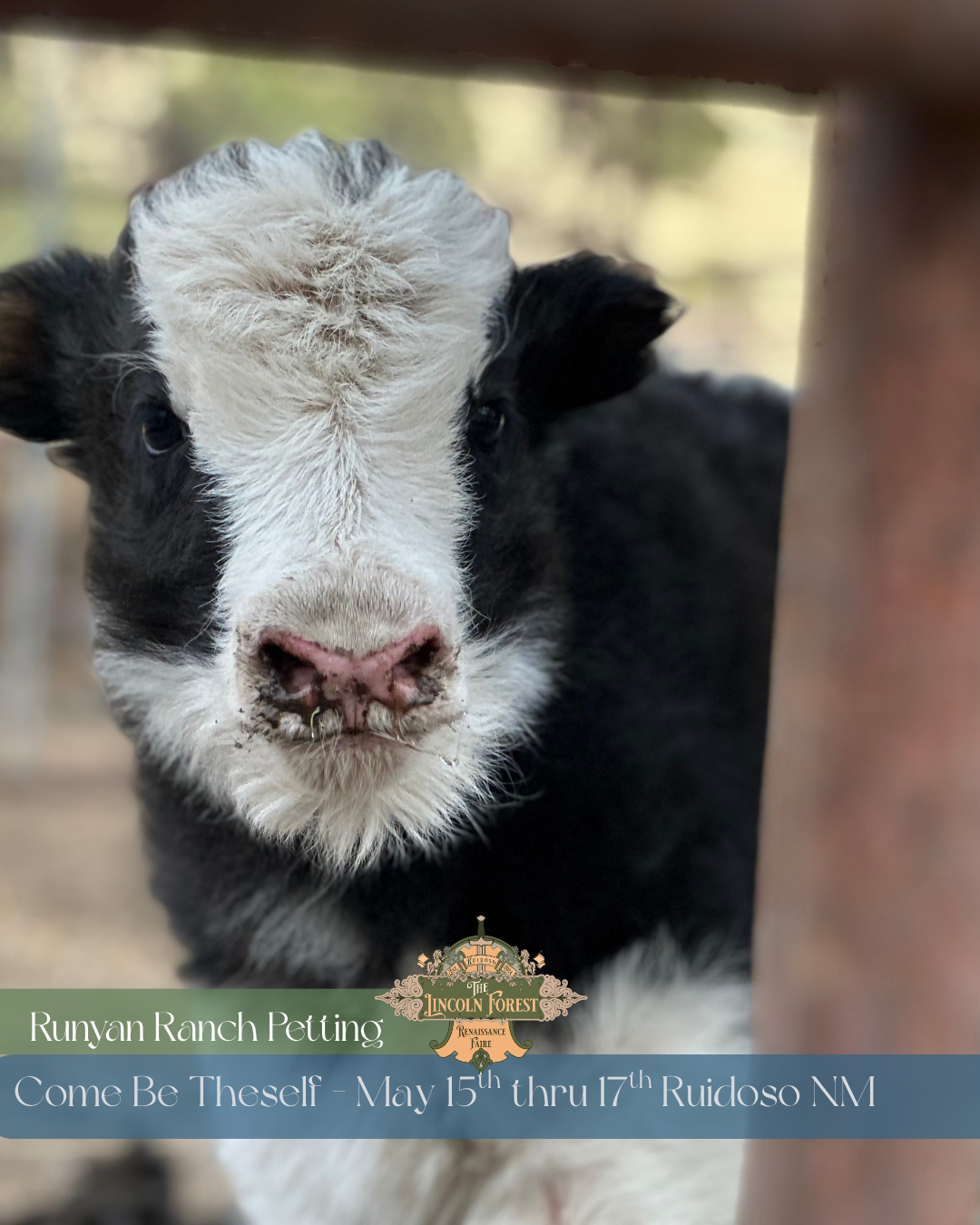 Runyan Ranches