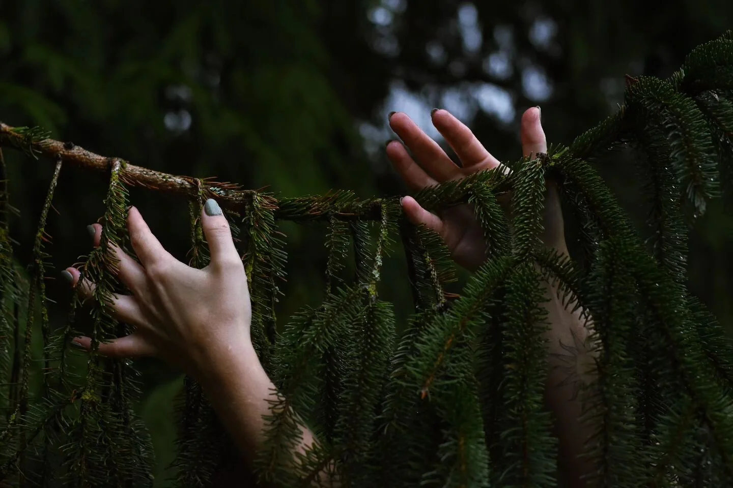 I find myself tethered, tethered to the trees that is.

Have you ever thought about your symmetry with our rooted kin? How about the two-legged? the four-legged? the finned? or the winged? What about your connection with the ones who crawl and the on