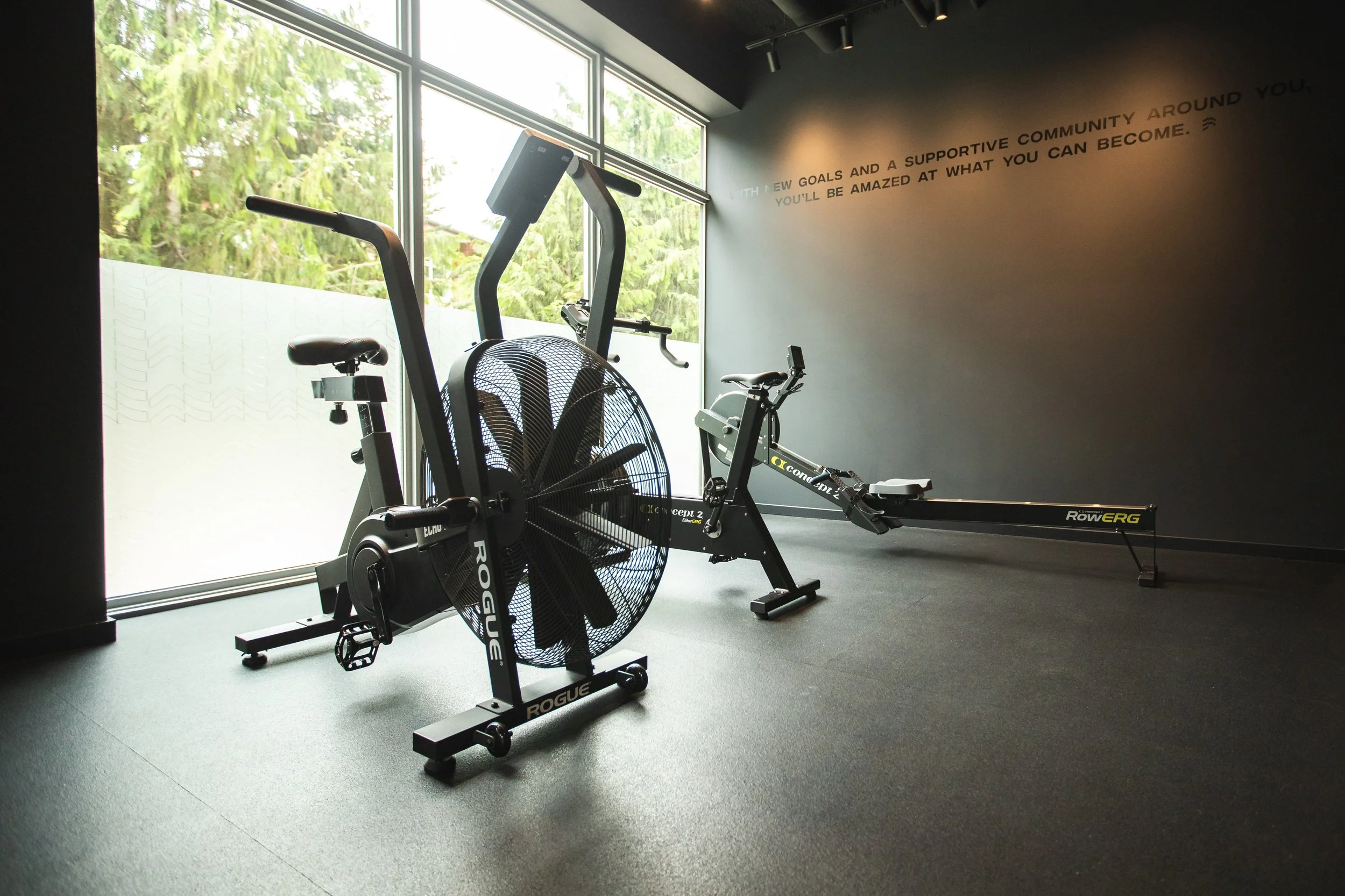 air bike and rower in black exclusive gym