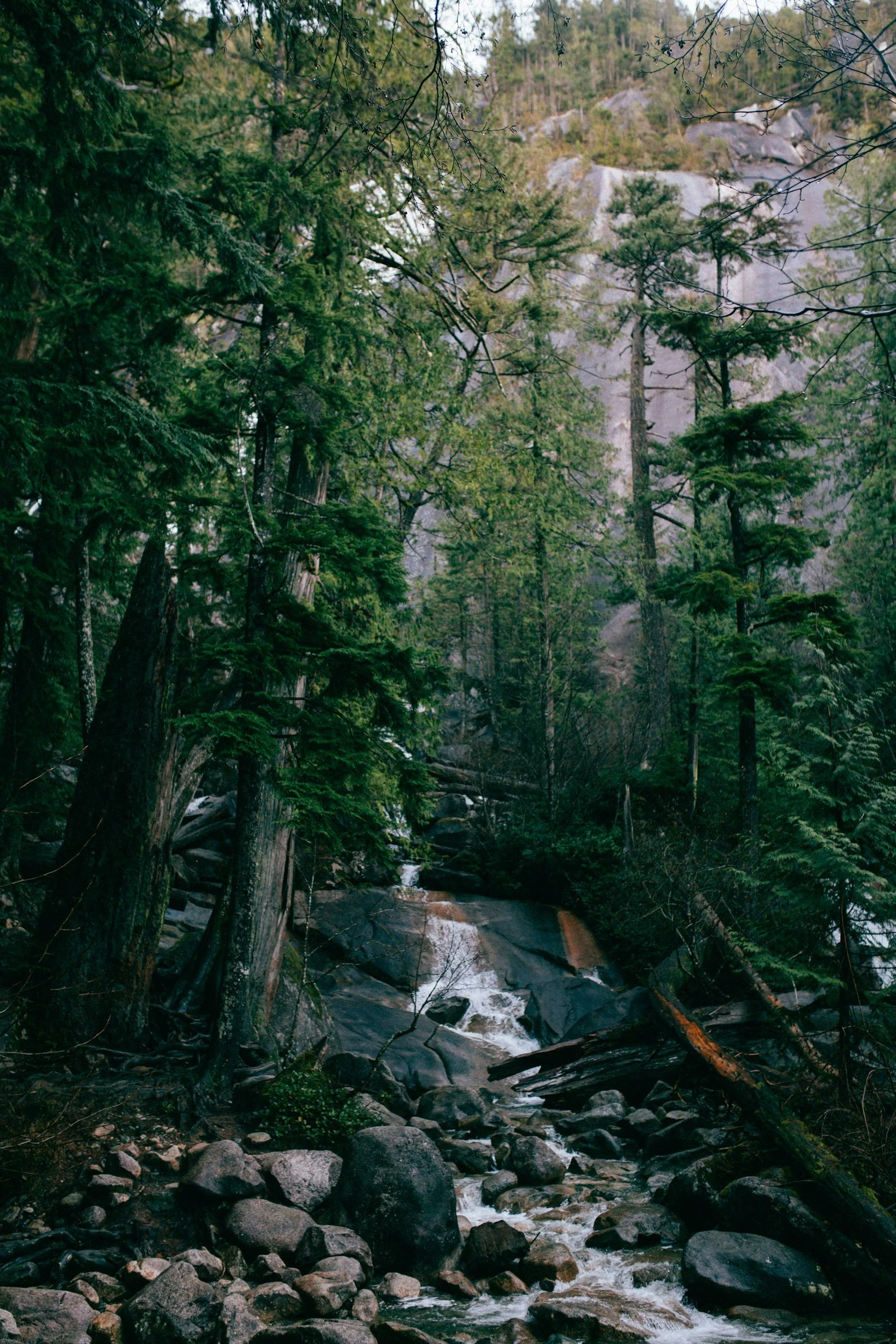 A mountain stream flows over rocks and boulders in a lush green forest, with tall trees and rocky cliffs in the background.