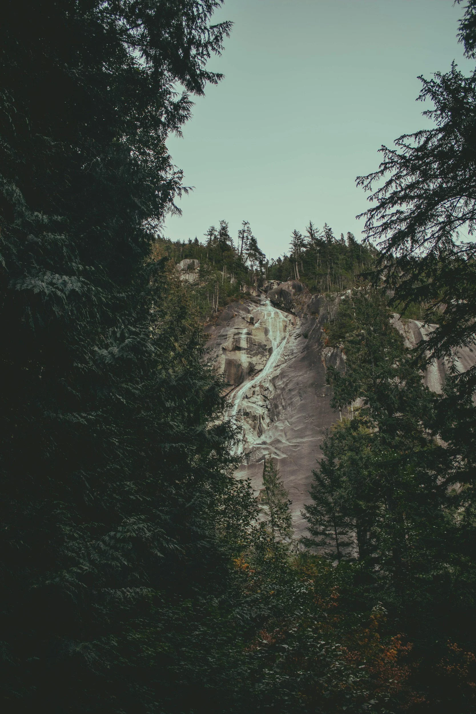A view of a waterfall cascading down a large rocky cliff surrounded by dense green forest and trees.