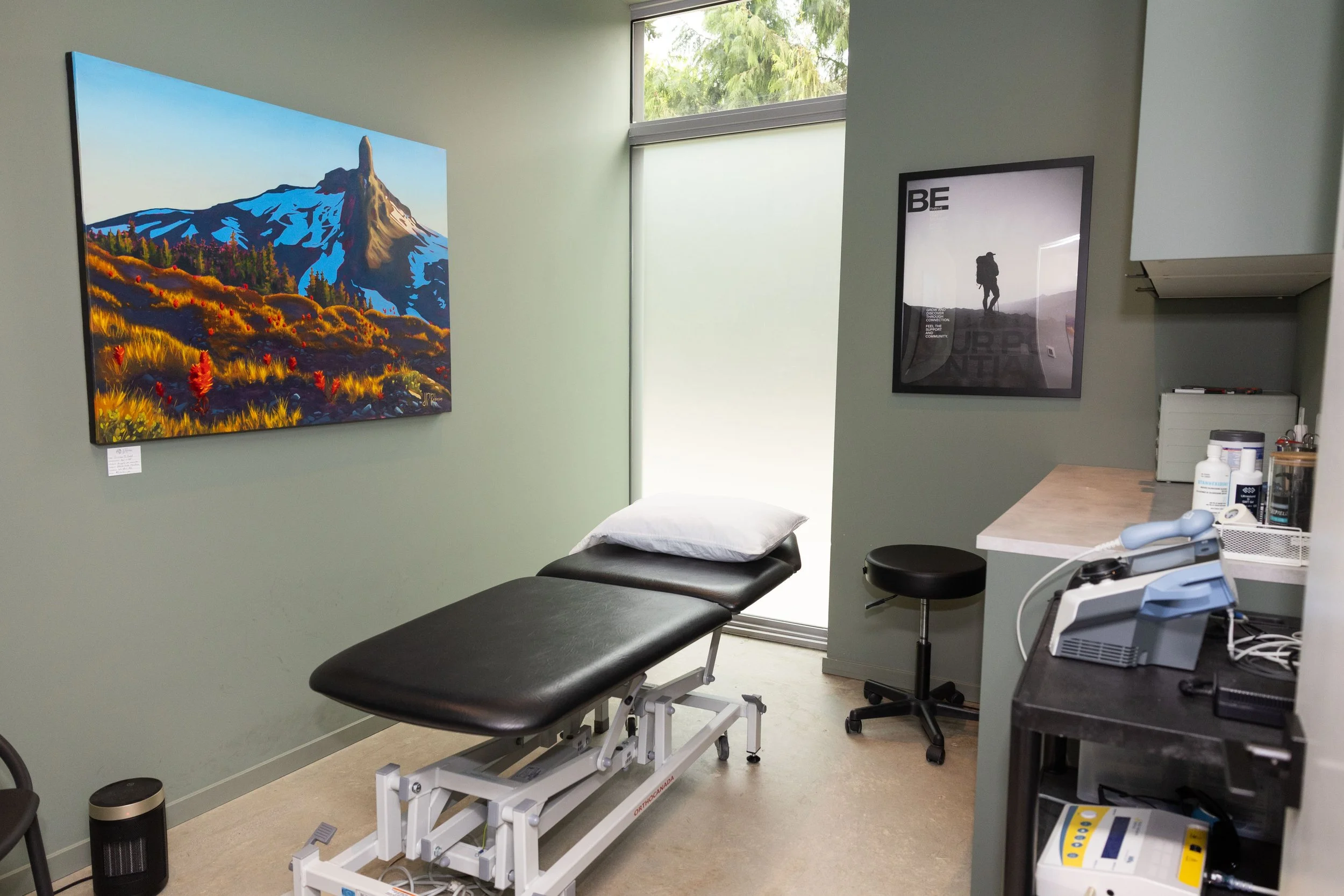 Medical examination room with a black examination table and a white pillow, framed nature landscape artwork on the wall, a window with a view of green trees, and medical equipment on a counter.