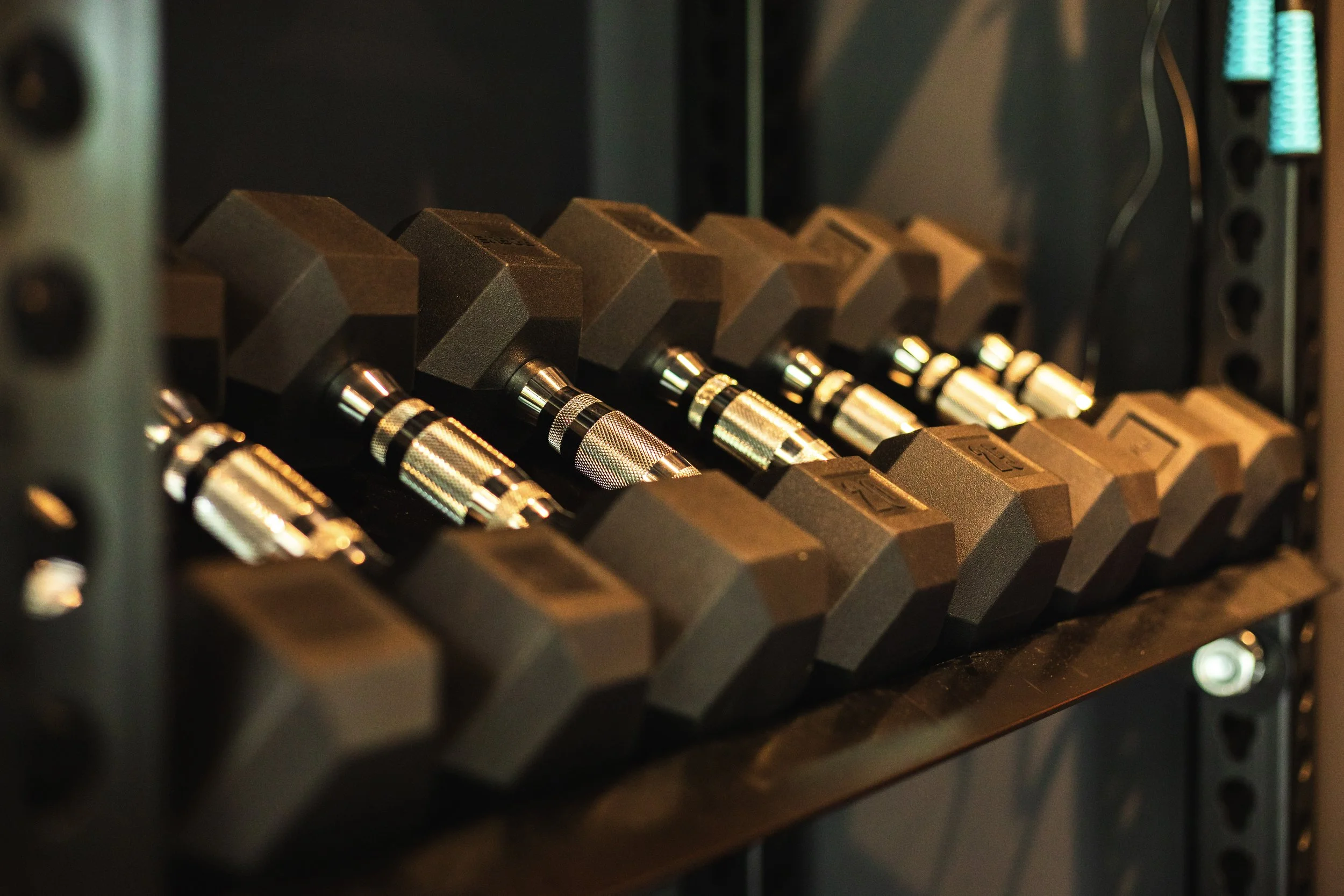 dumbells on shelf