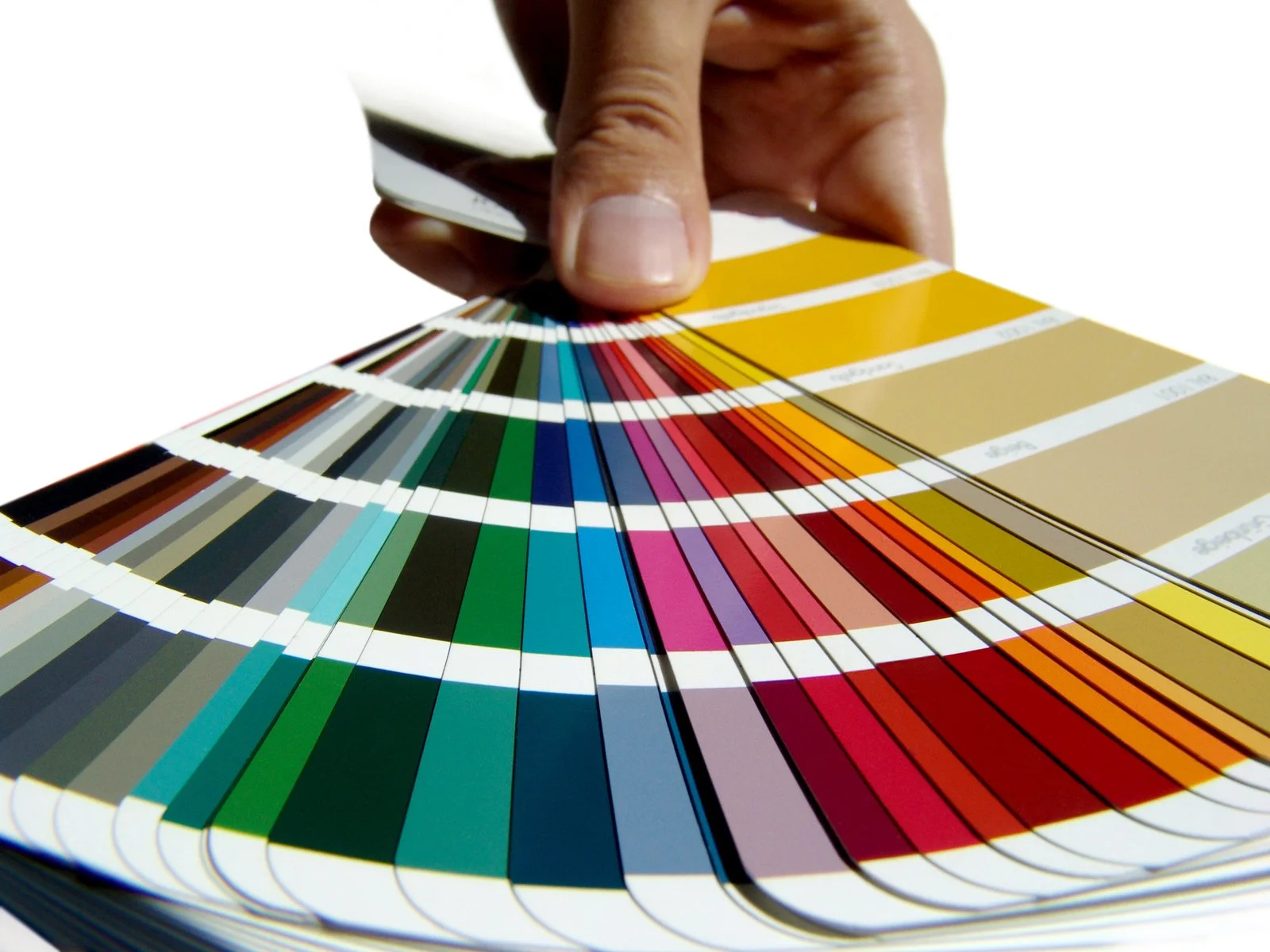 A hand holding a color palette fan deck with various color swatches.