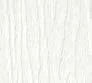 white1.jpg
