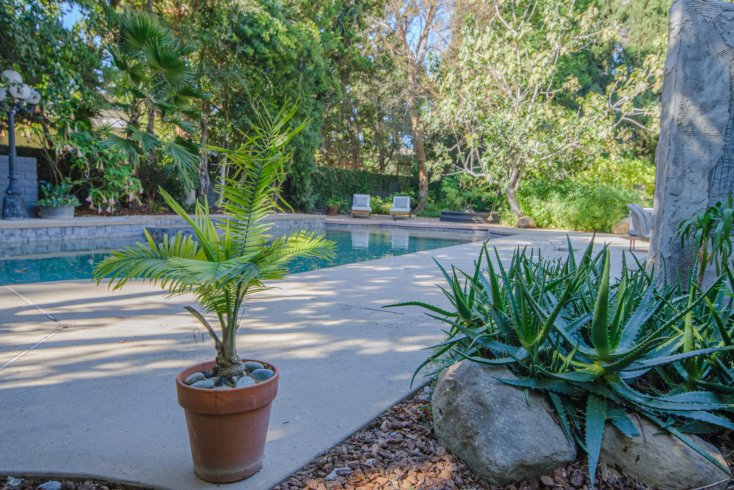 24 - untitled-7269.jpg