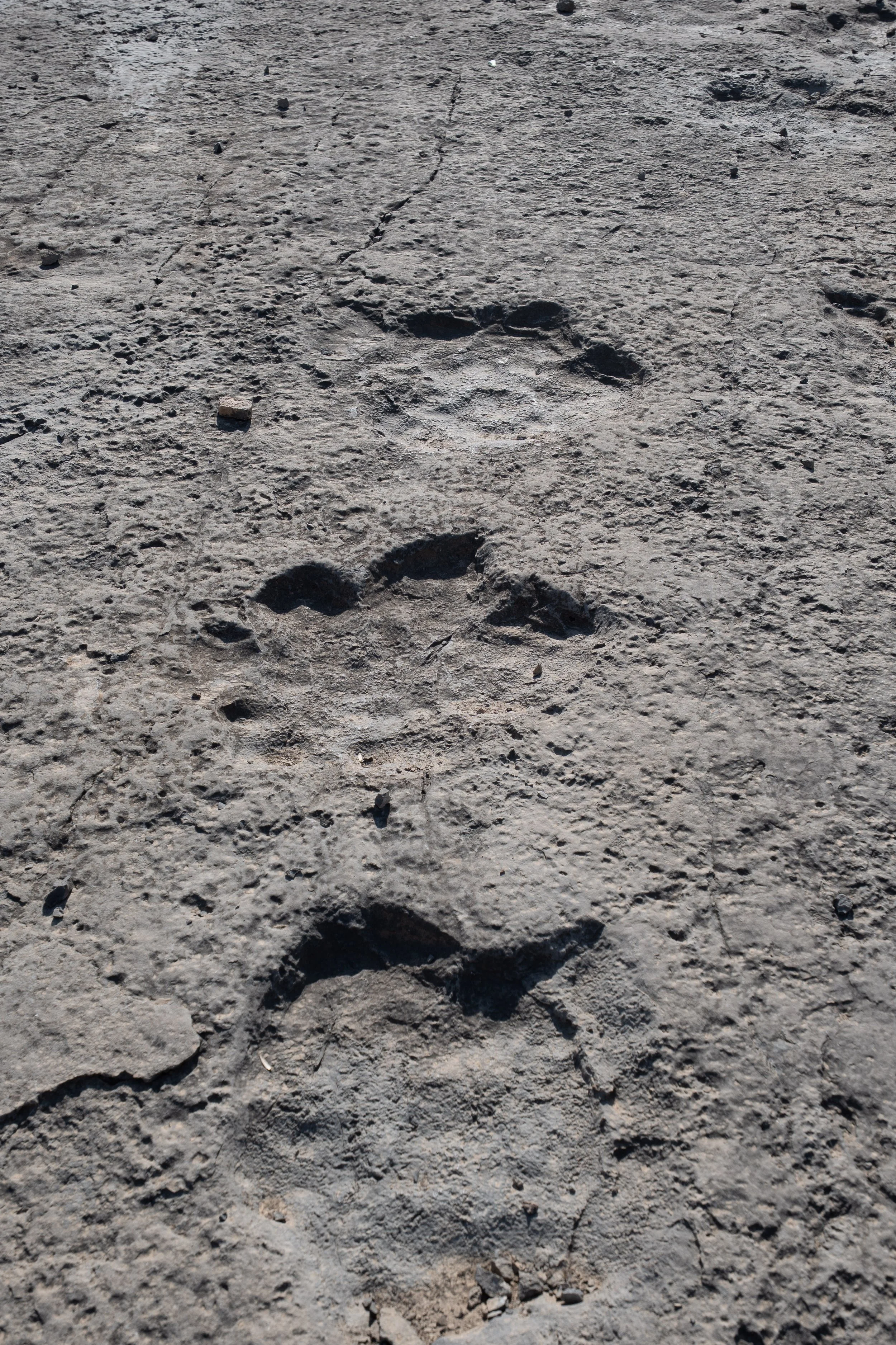 Turkmenistan Website photos-52.jpg