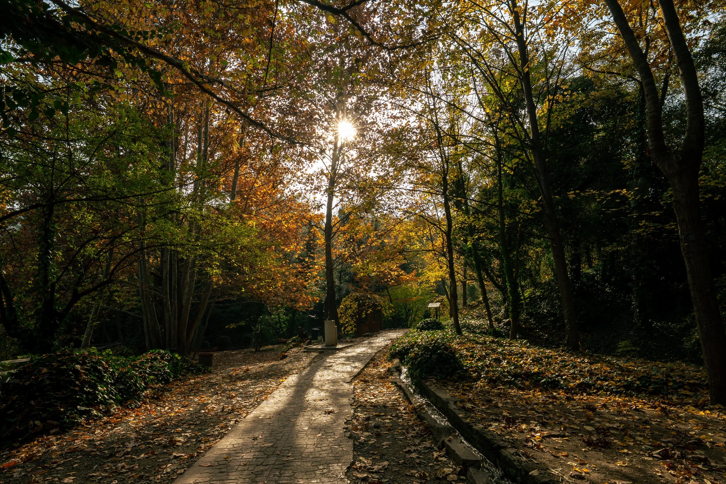  Georgia Website Photos-22.jpg