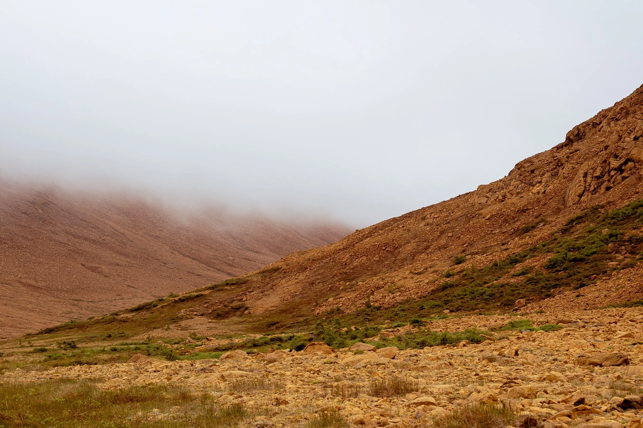 Newfoundland Blog-02.jpg