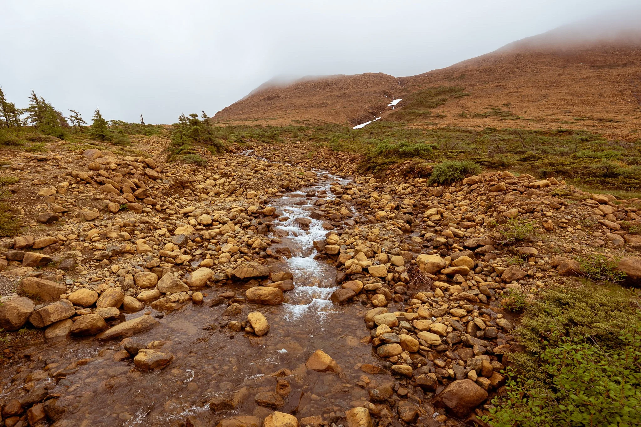 Newfoundland Blog-01.jpg