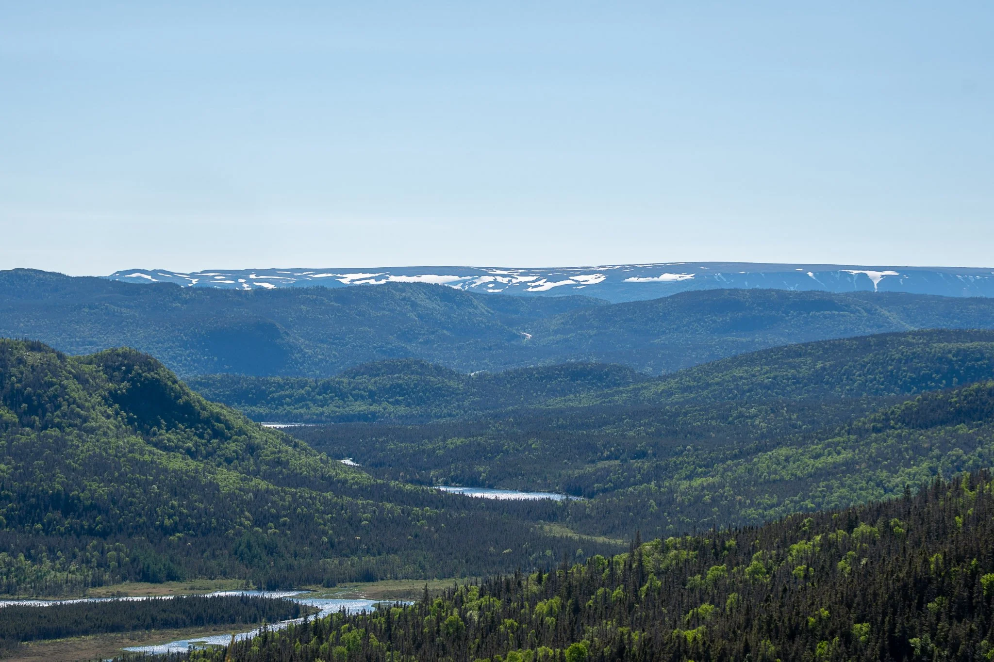 Newfoundland Blog-15.jpg