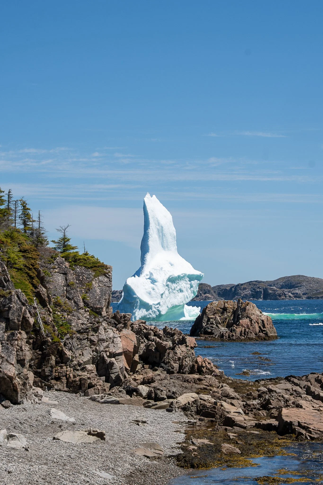 Newfoundland Blog-25.jpg