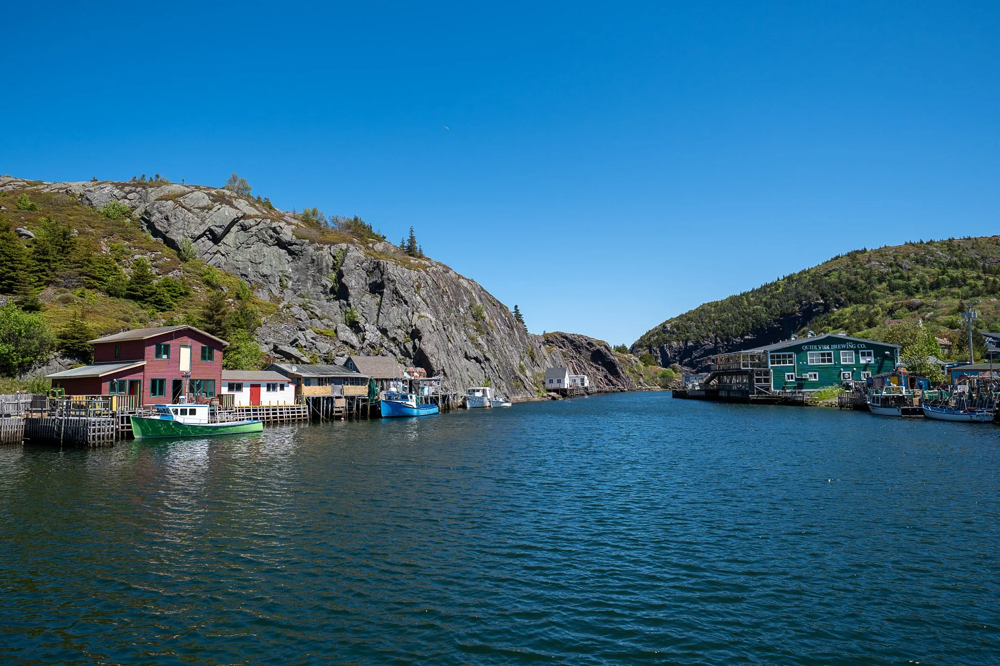 Newfoundland Blog-44.jpg