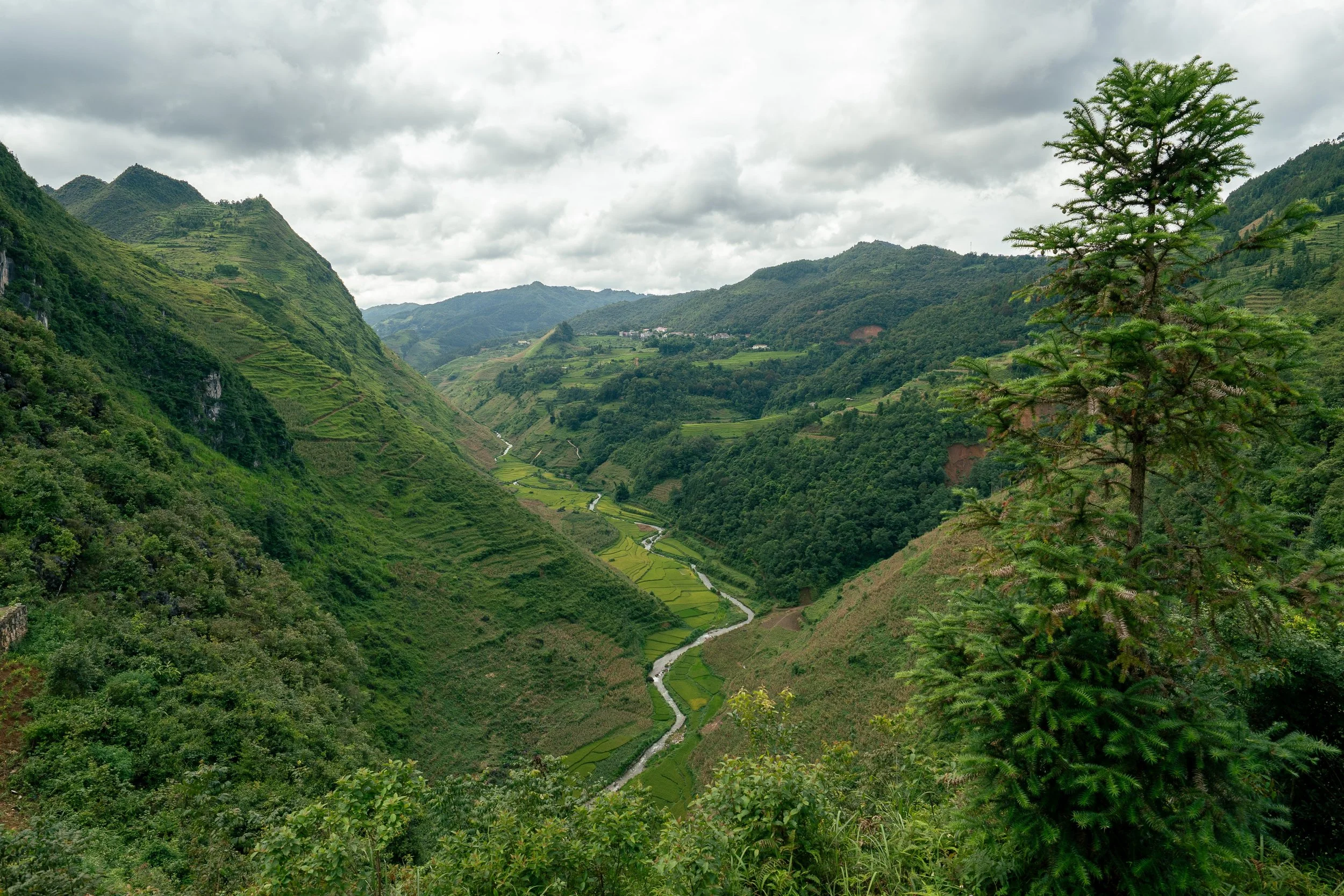 Vietnam Website photos-40.jpg