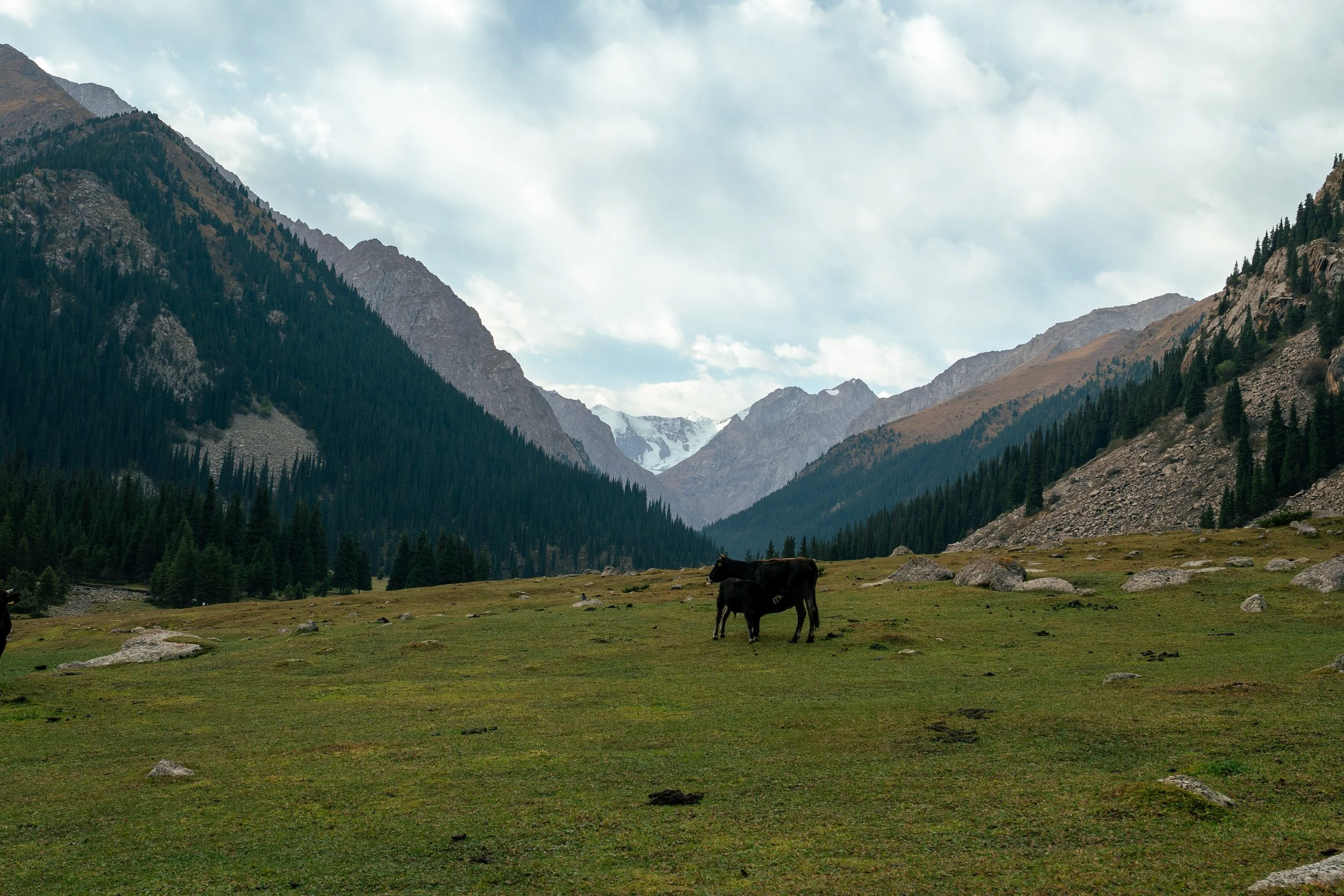 Kyrgyzstan Website photos-18.jpg