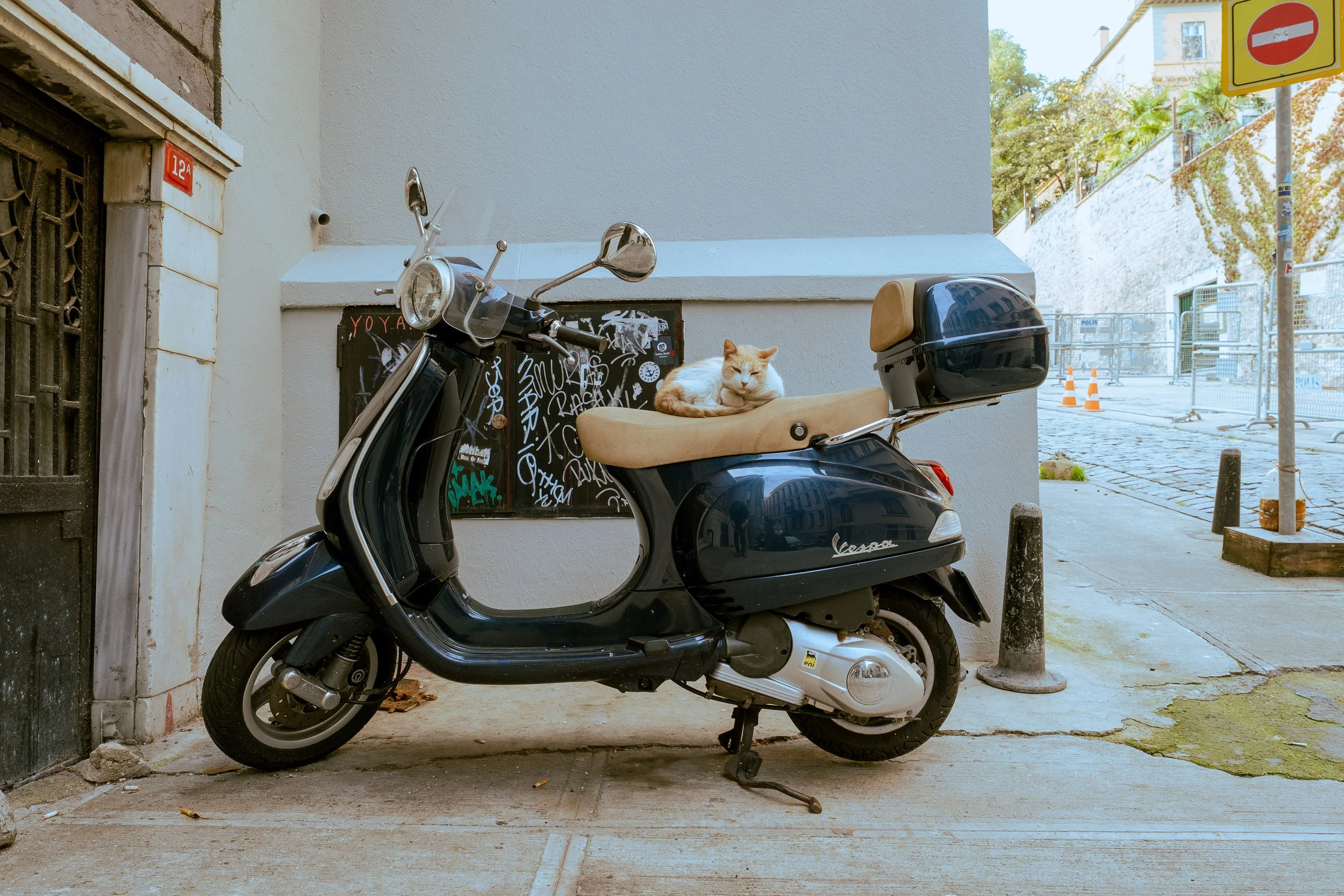  Turkey Website Photos-16.jpg