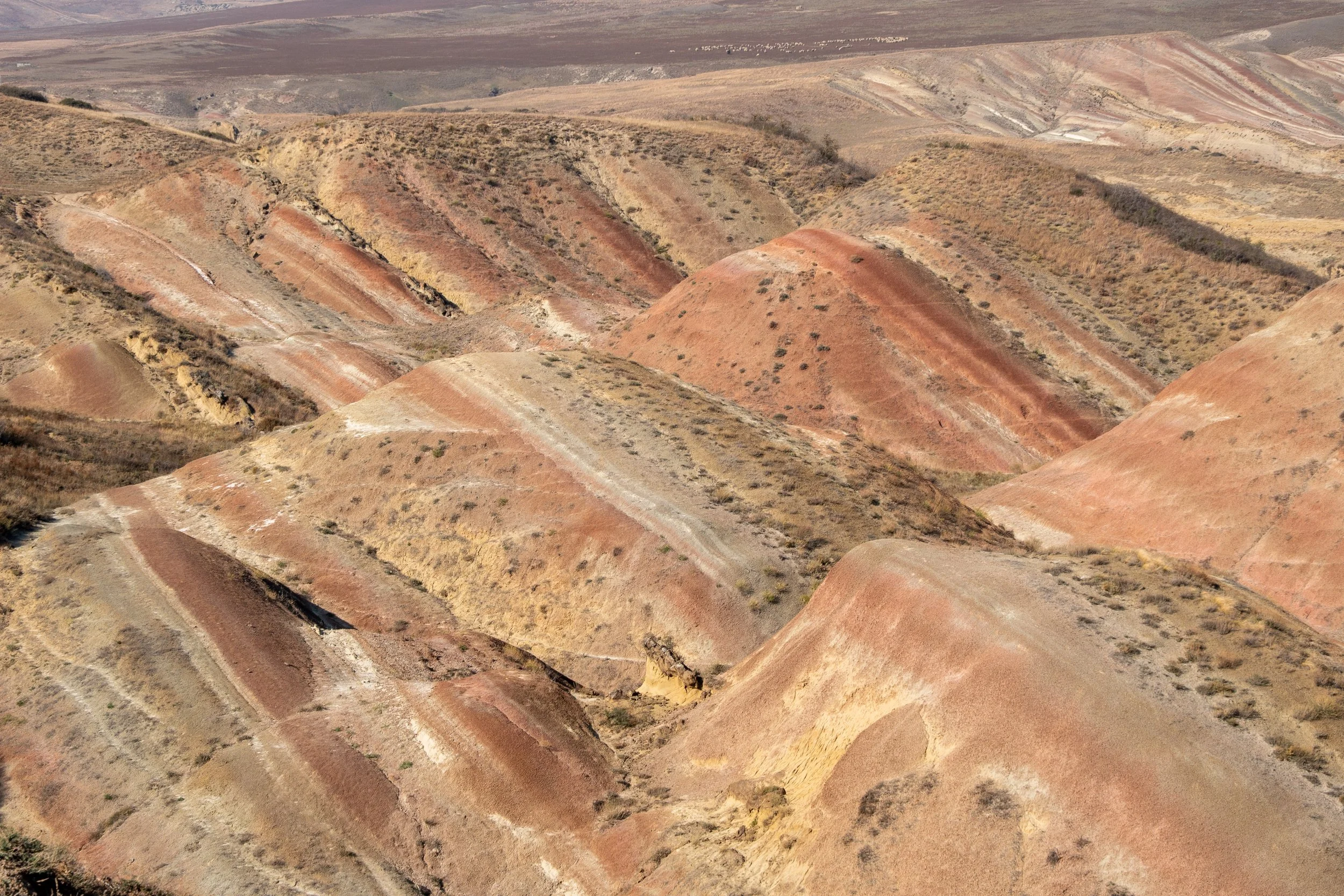  Georgia Website Photos-40.jpg