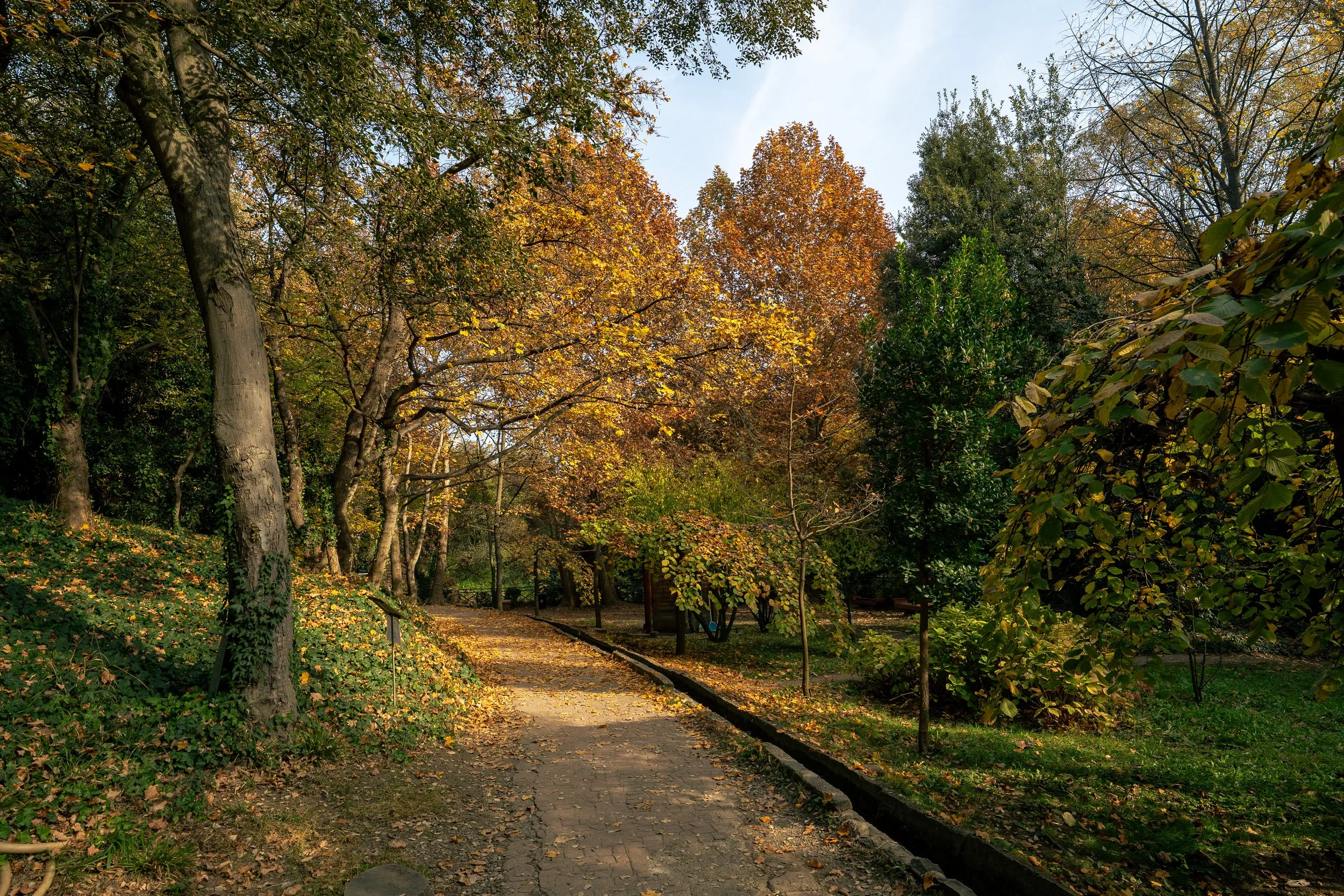  Georgia Website Photos-23.jpg