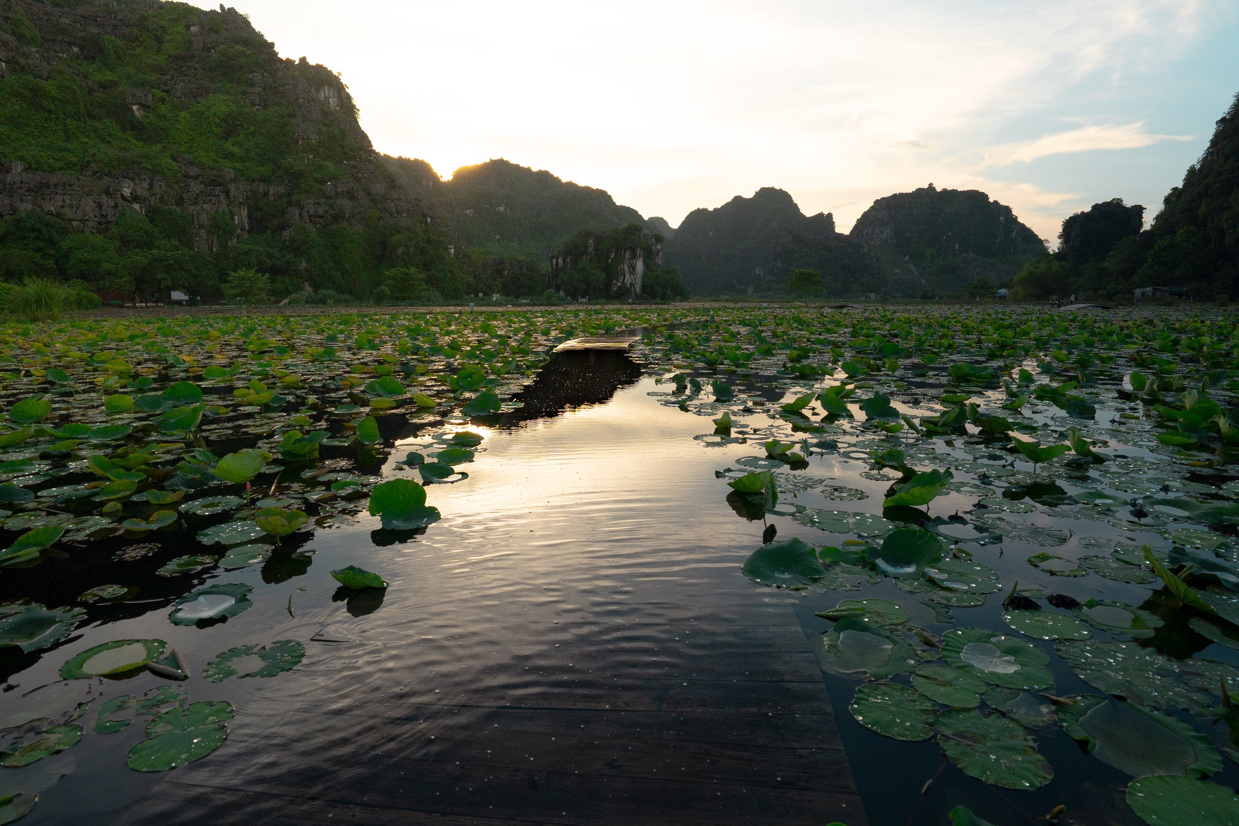 Vietnam Website photos-67.jpg