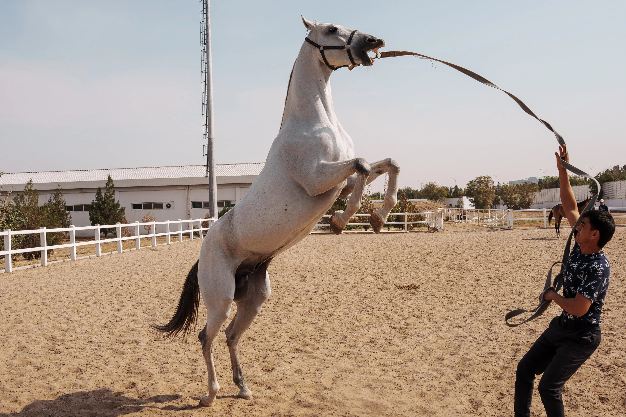 Turkmenistan Website photos-45.jpg