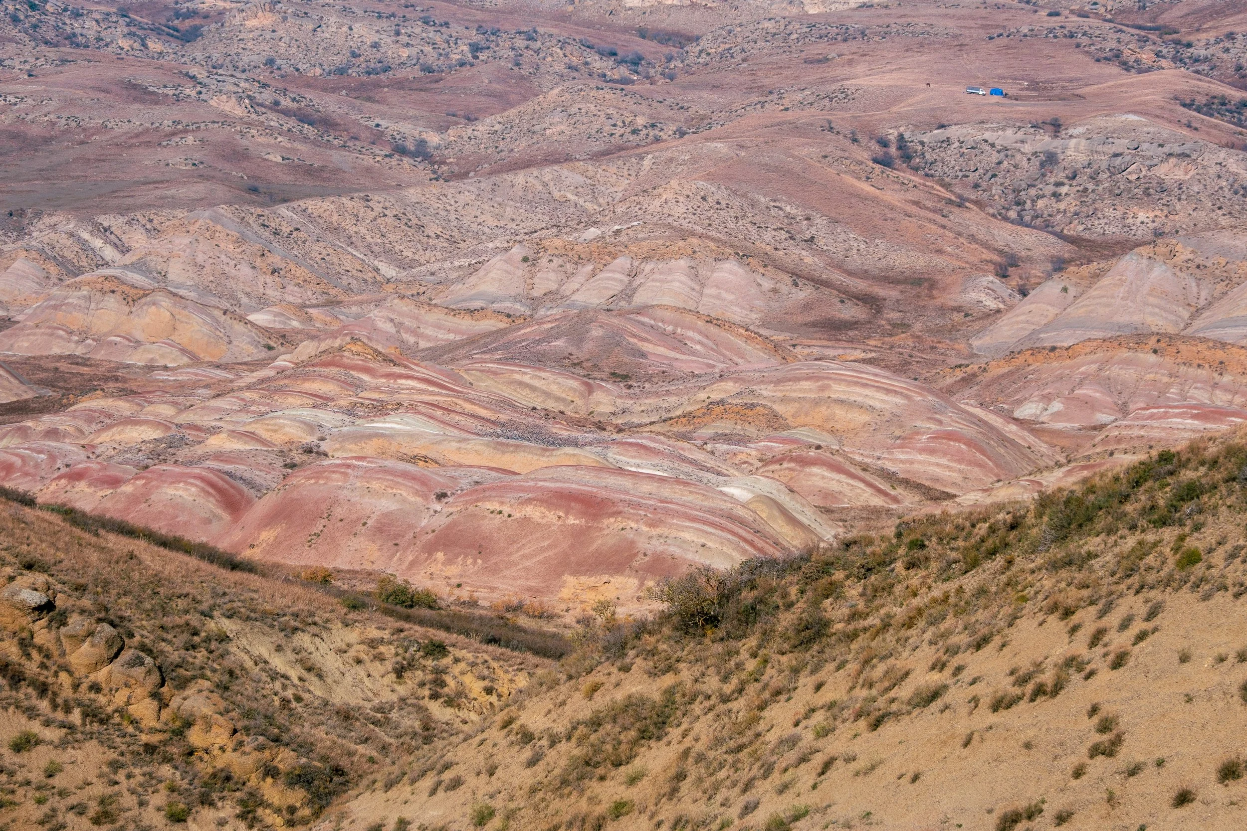  Georgia Website Photos-42.jpg