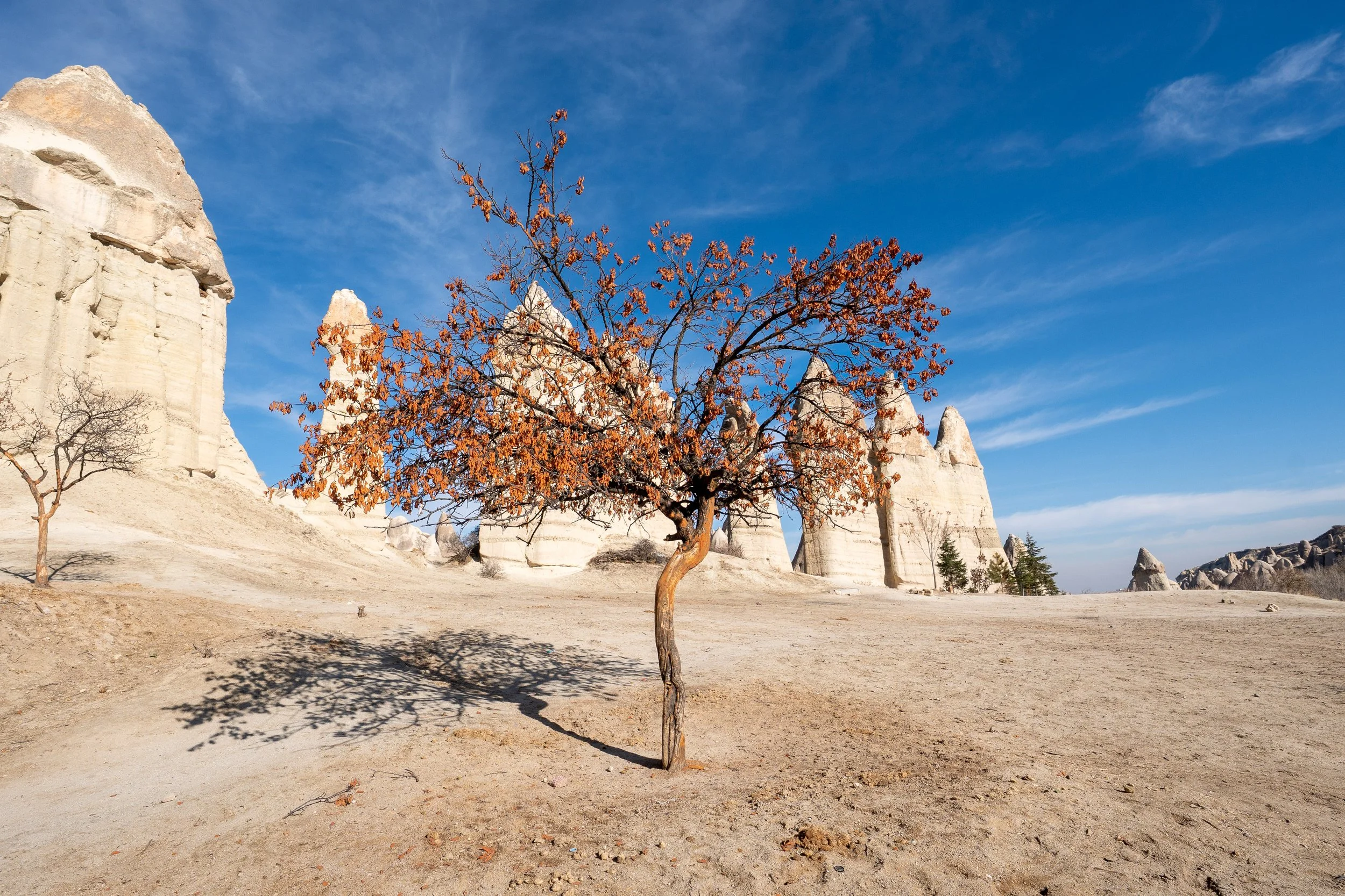  Turkey Website Photos-29.jpg