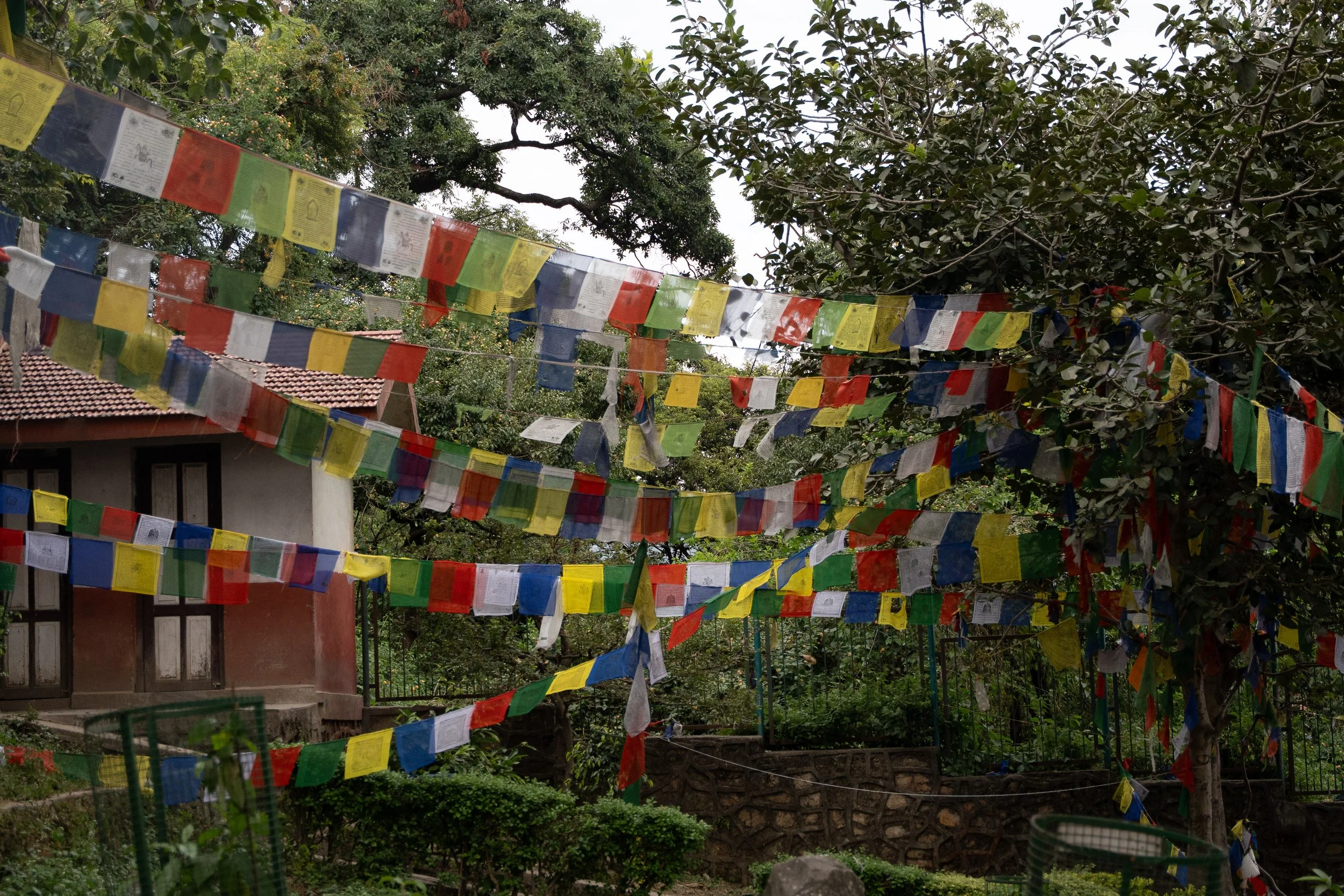 Nepal Website photos-31.jpg