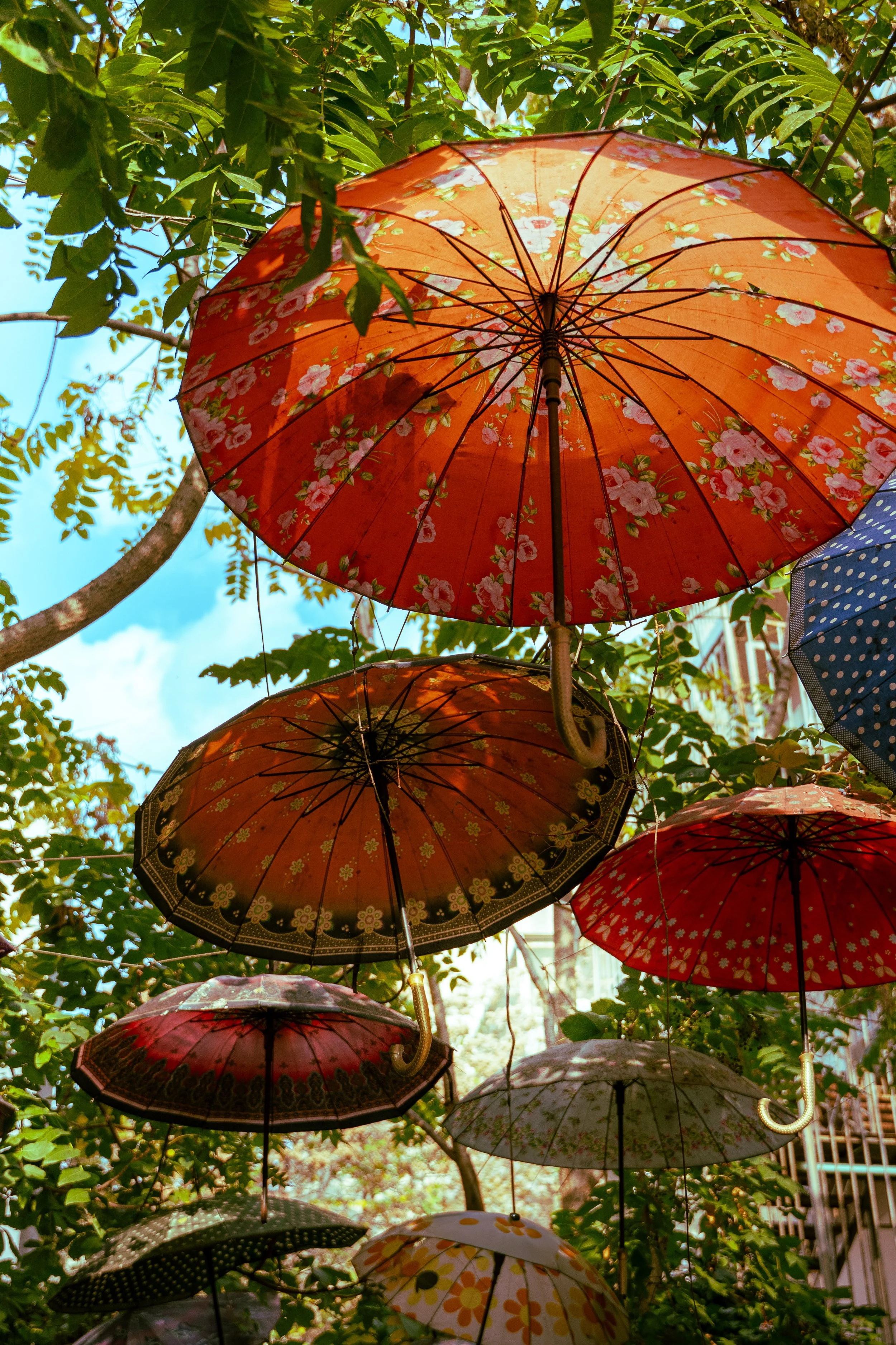  Turkey Website Photos-12.jpg