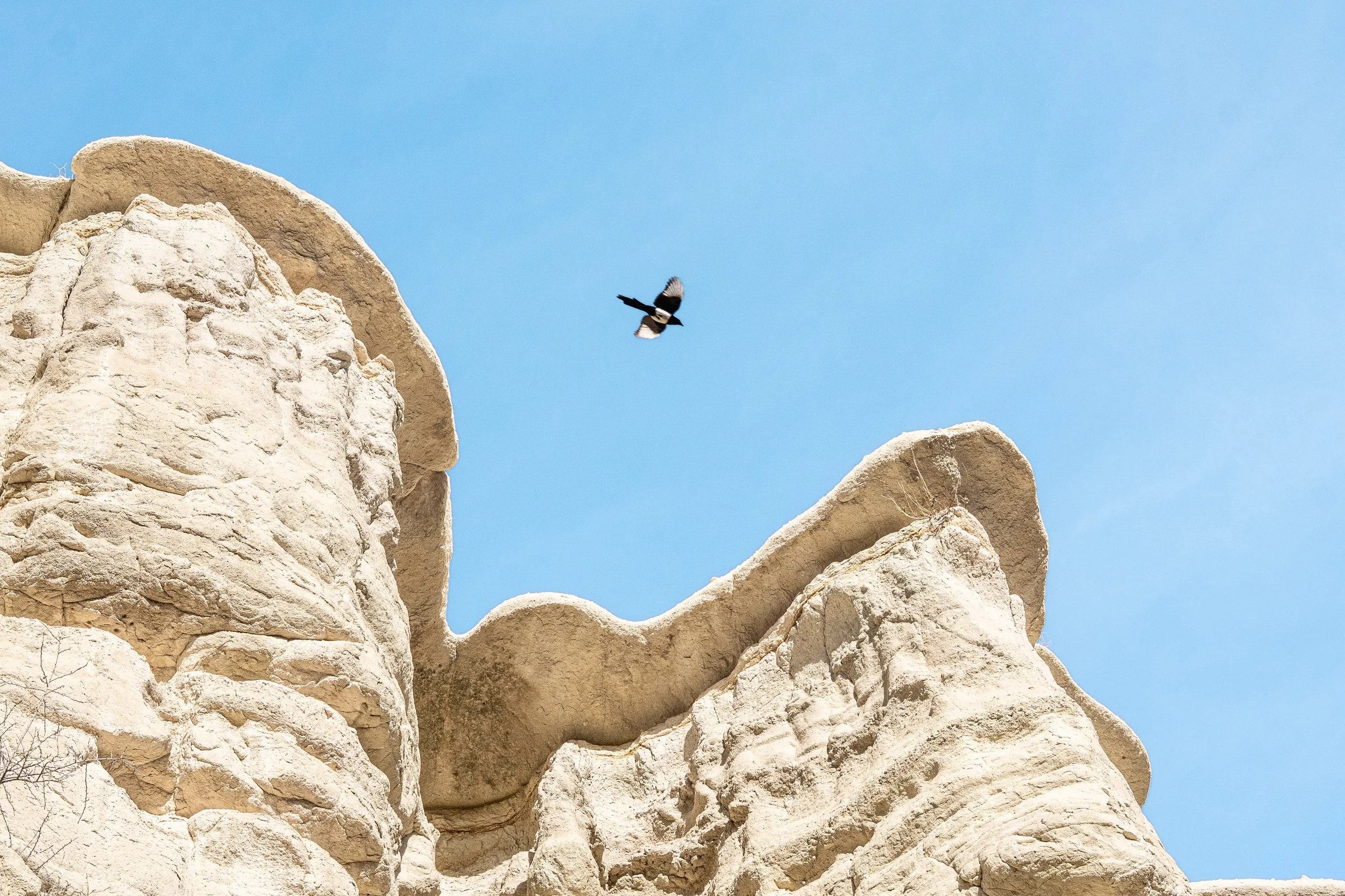  Turkey Website Photos-55.jpg