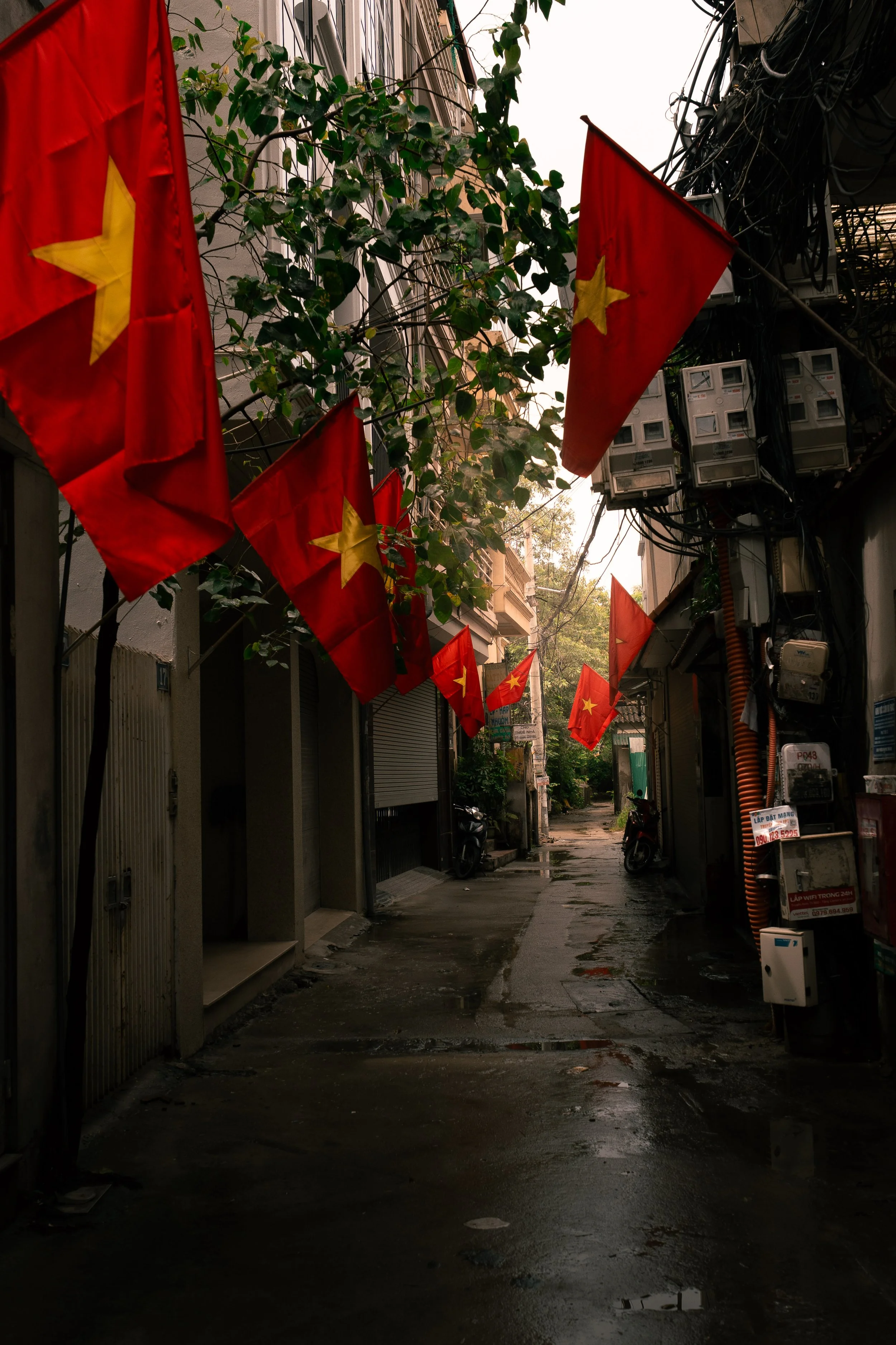 Vietnam Website photos-05.jpg
