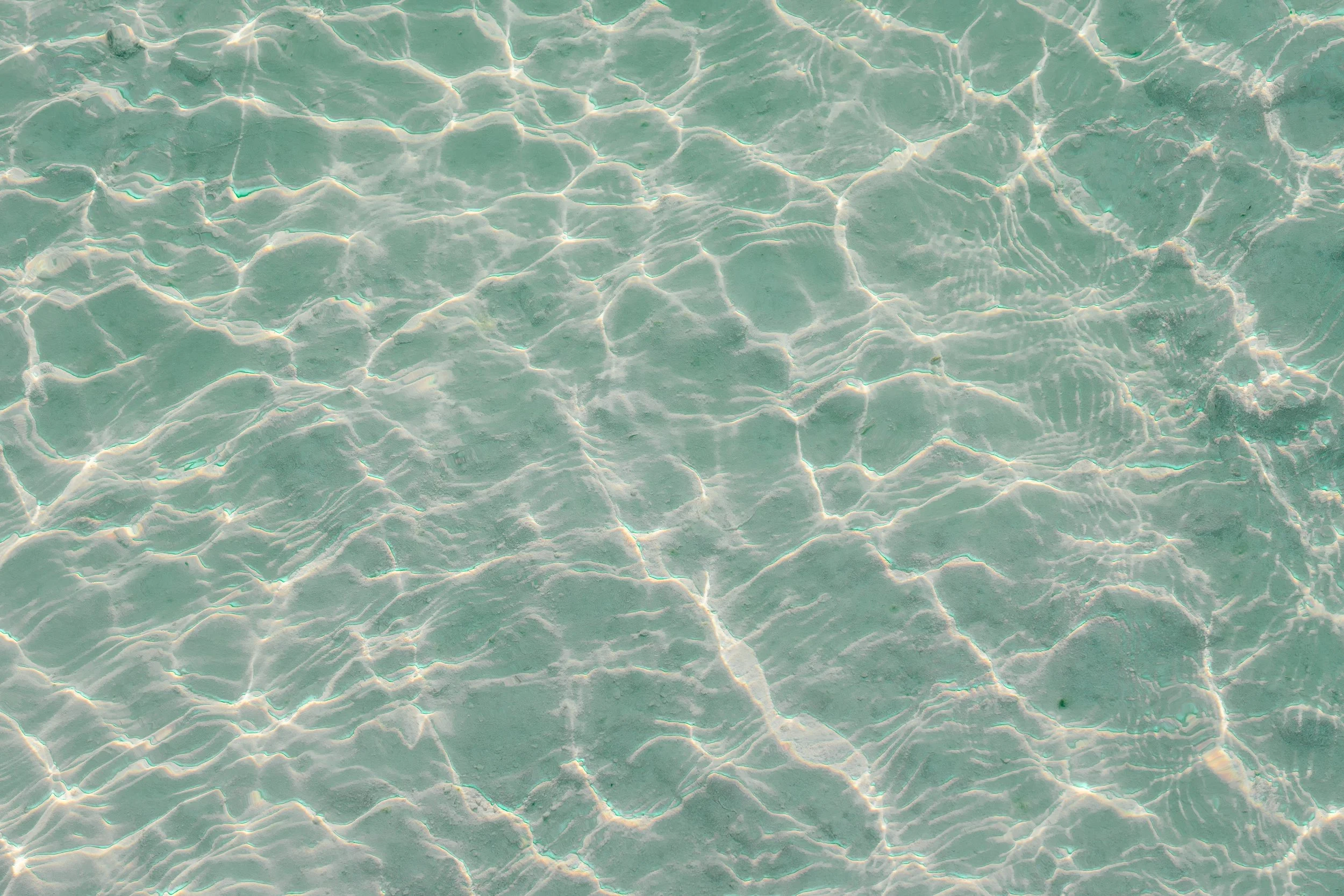  Turkey Website Photos-66.jpg