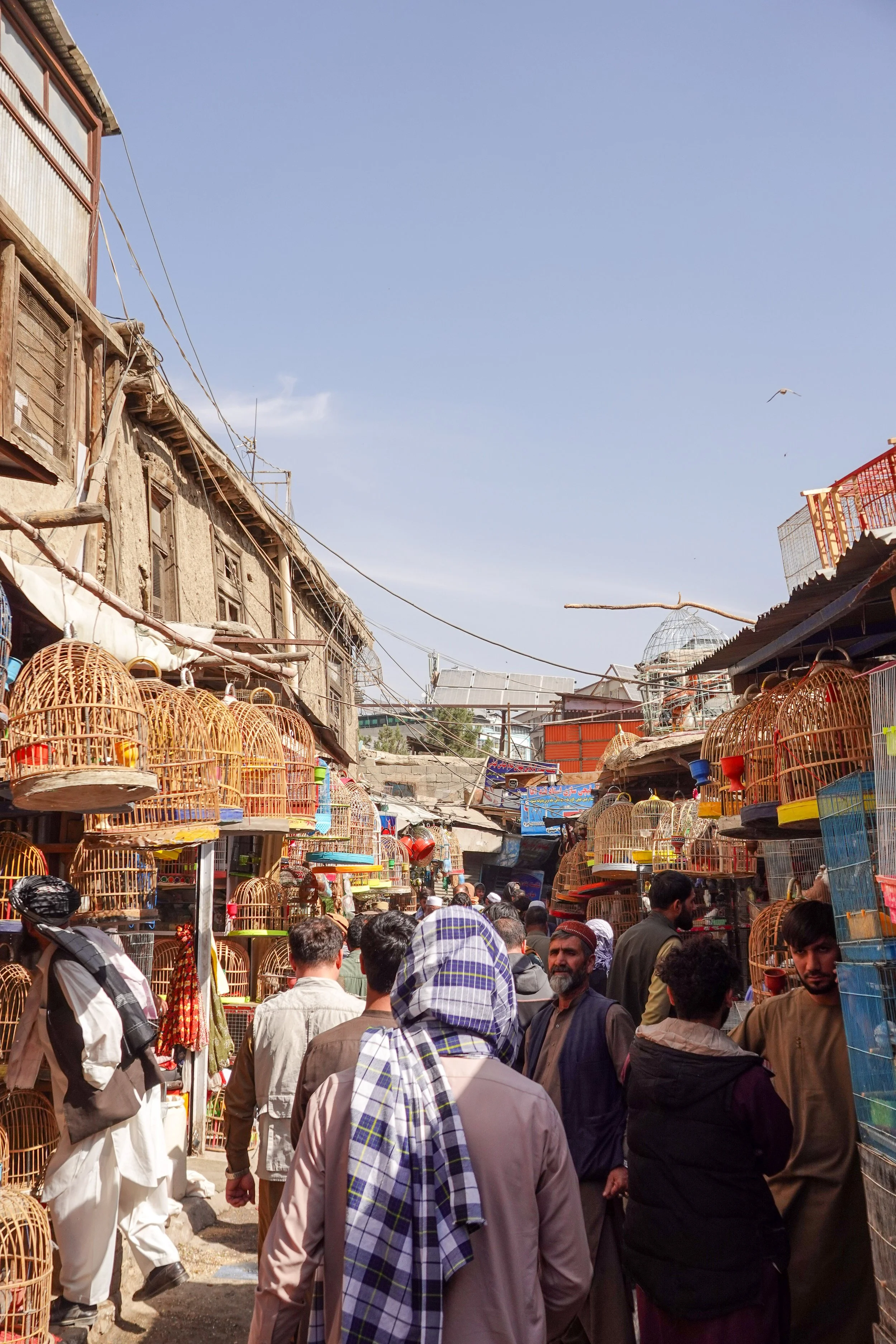 Afghanistan Website photos-09.jpg