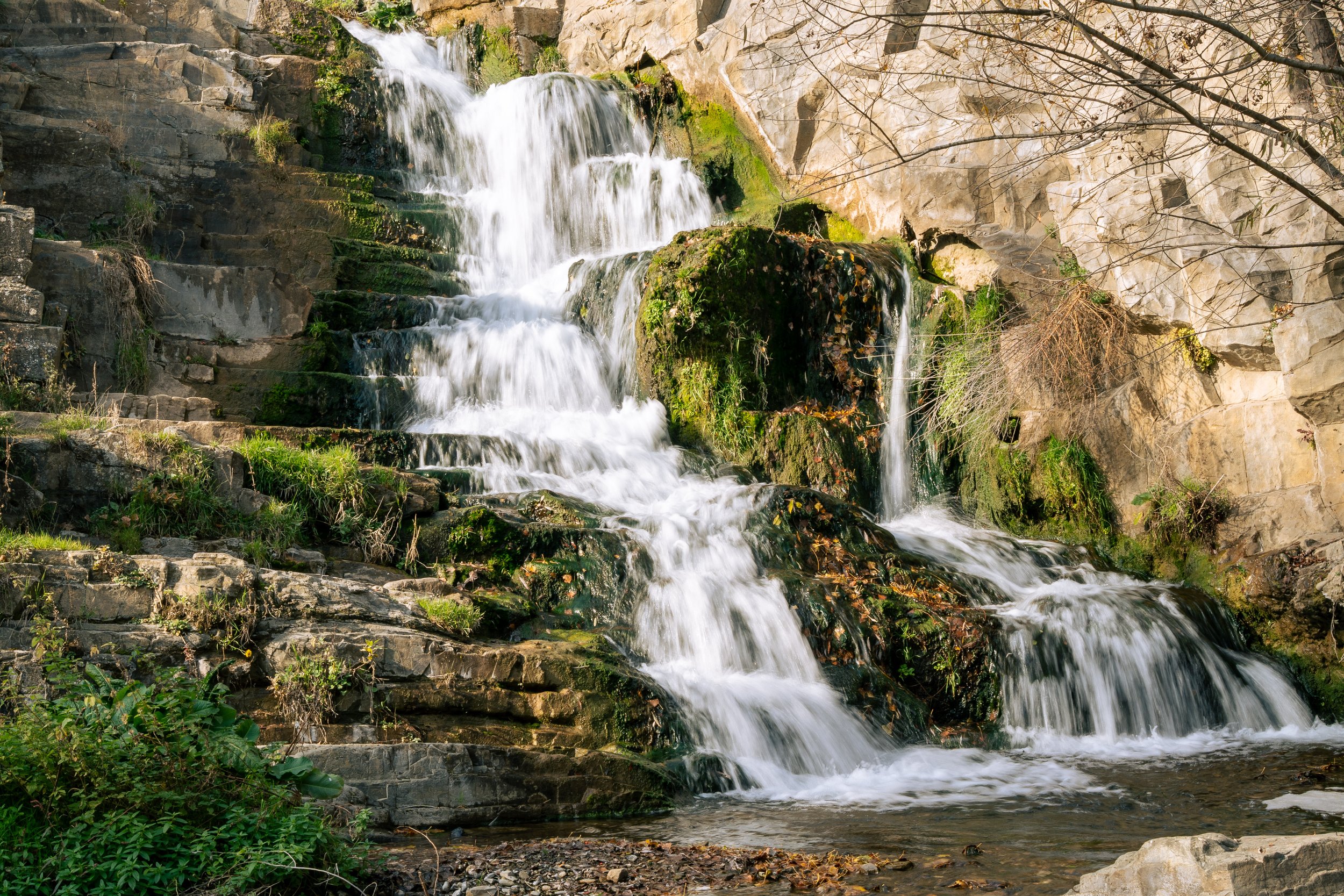  Georgia Website Photos-27.jpg