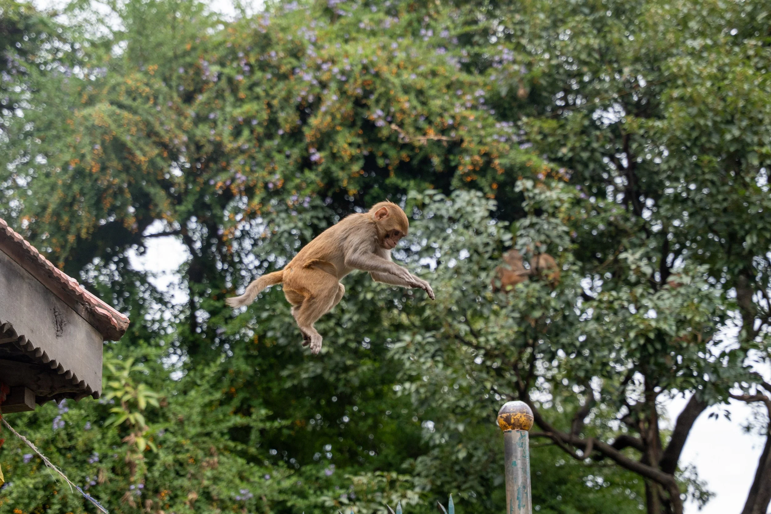 Nepal Website photos-32.jpg