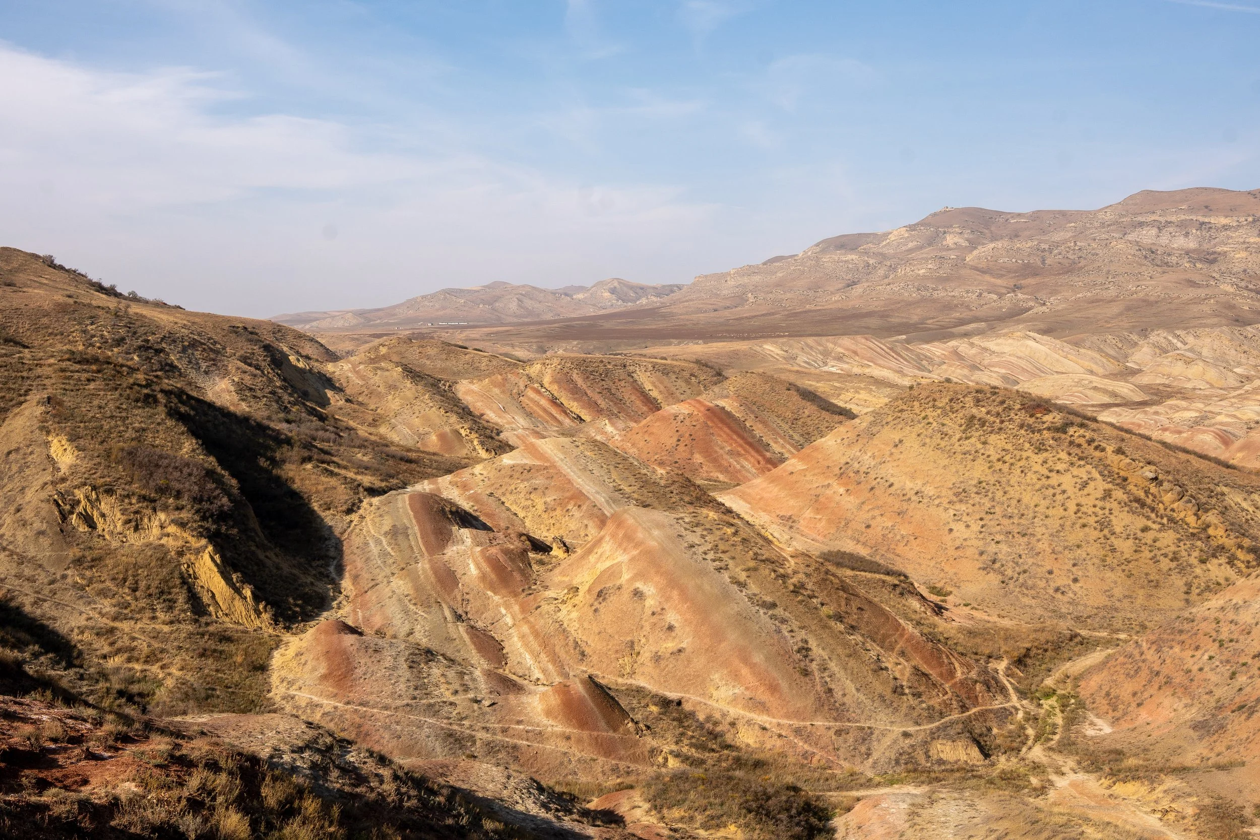  Georgia Website Photos-41.jpg