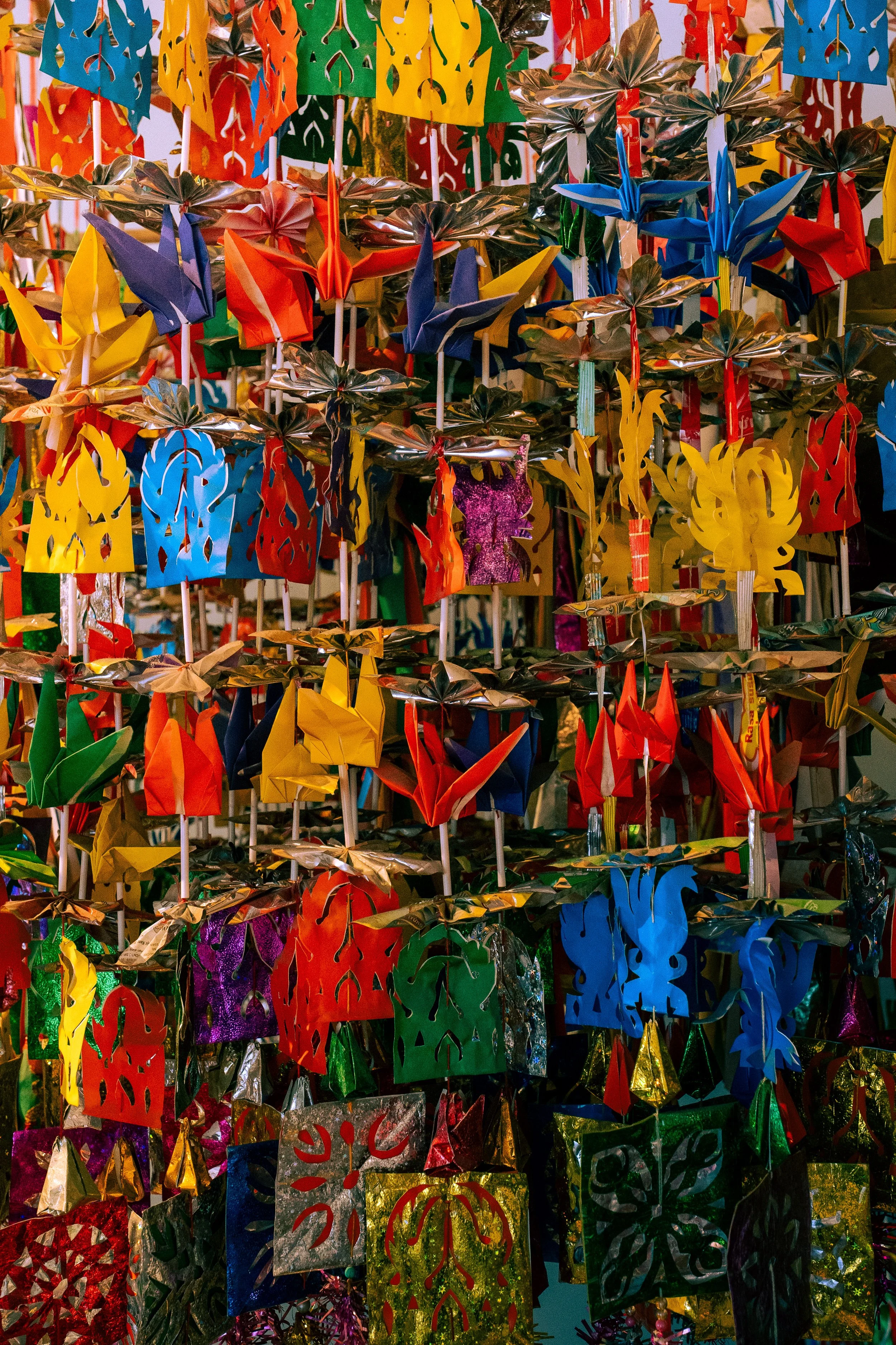 Vietnam Website photos-01.jpg