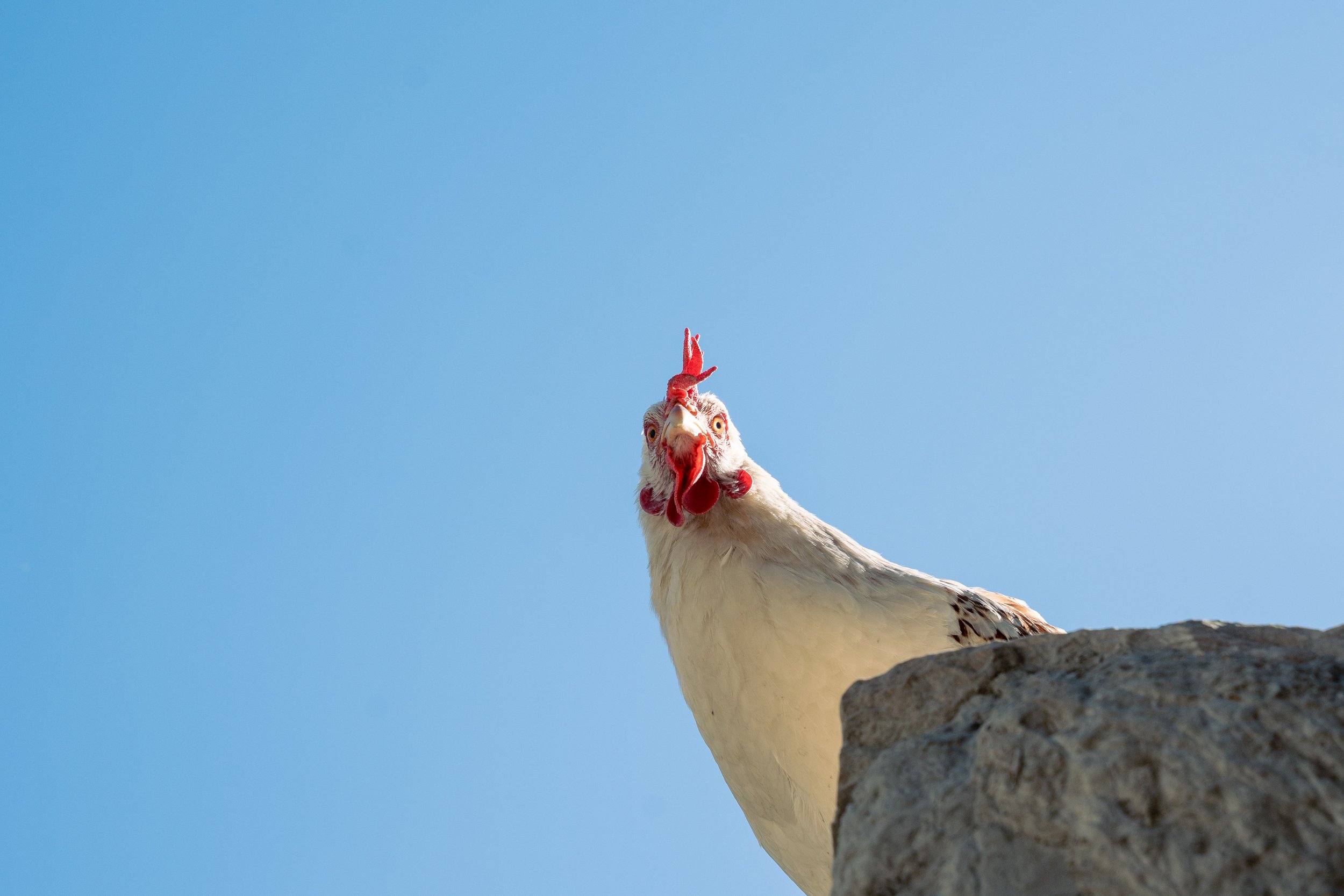 Pakistan Website photos-34.jpg