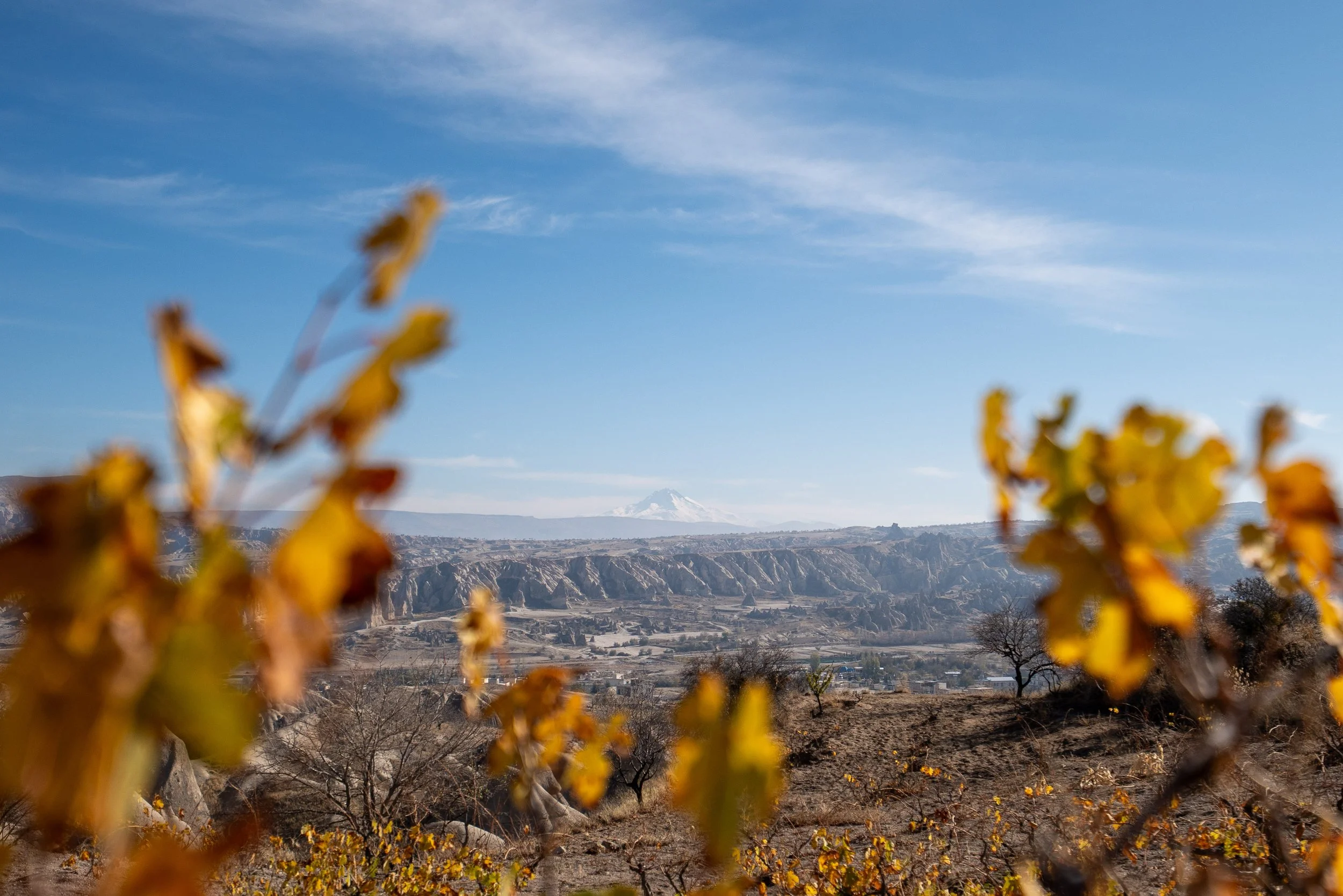  Turkey Website Photos-32.jpg