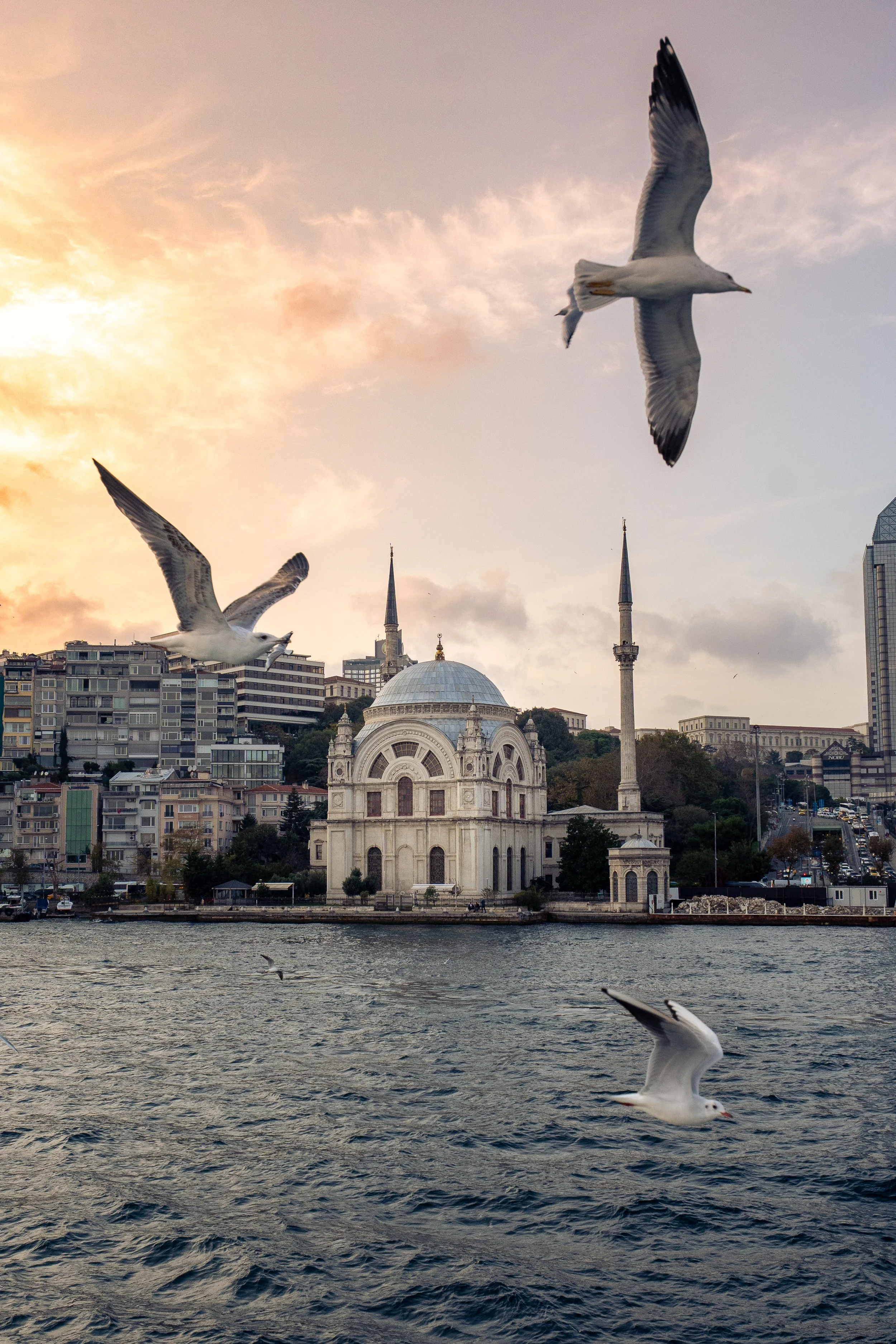  Turkey Website Photos-05.jpg