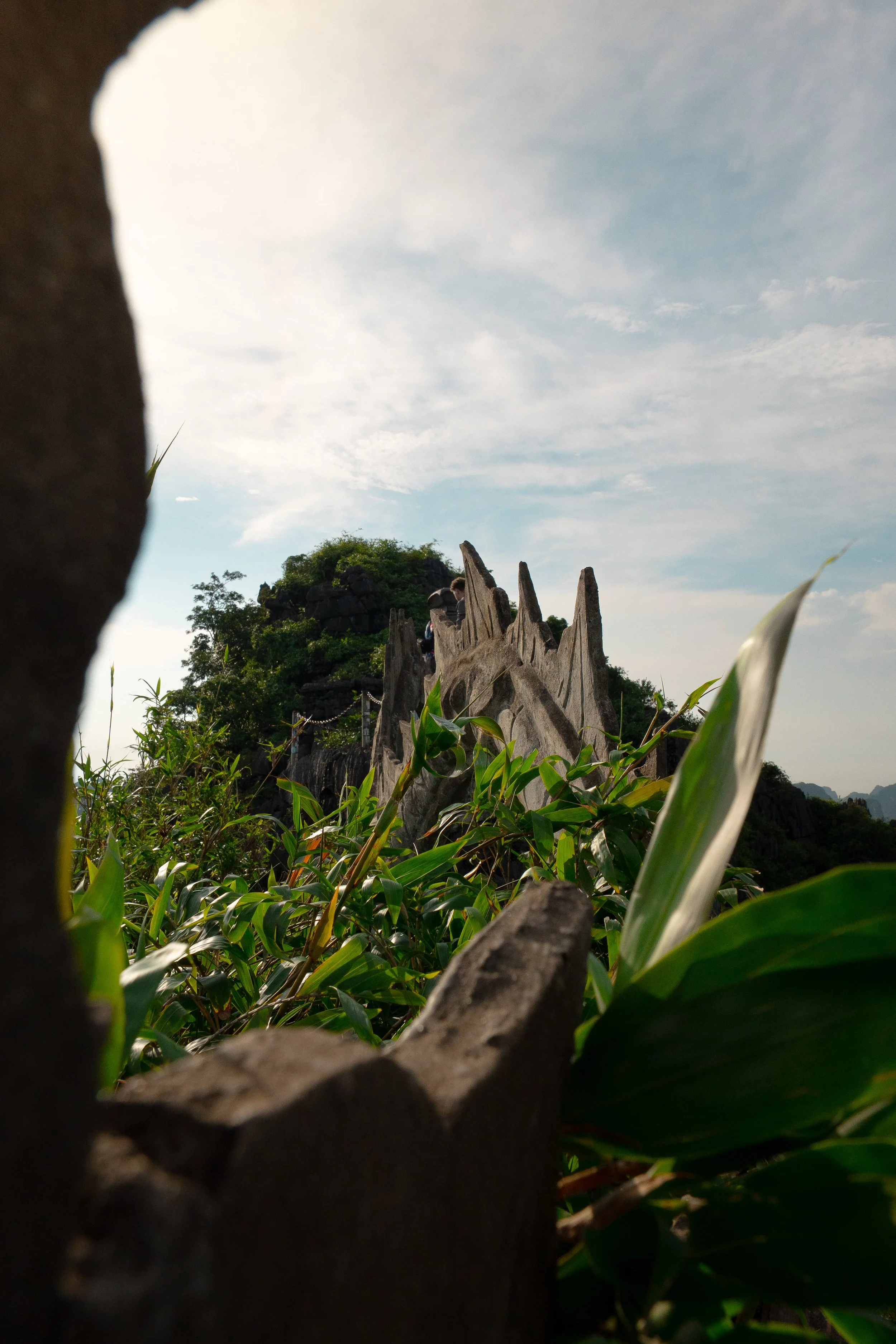 Vietnam Website photos-62.jpg